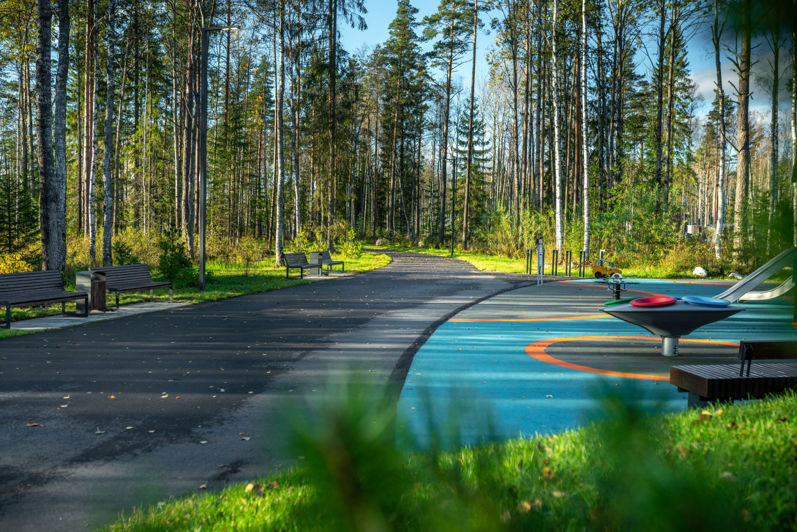 Репино парк