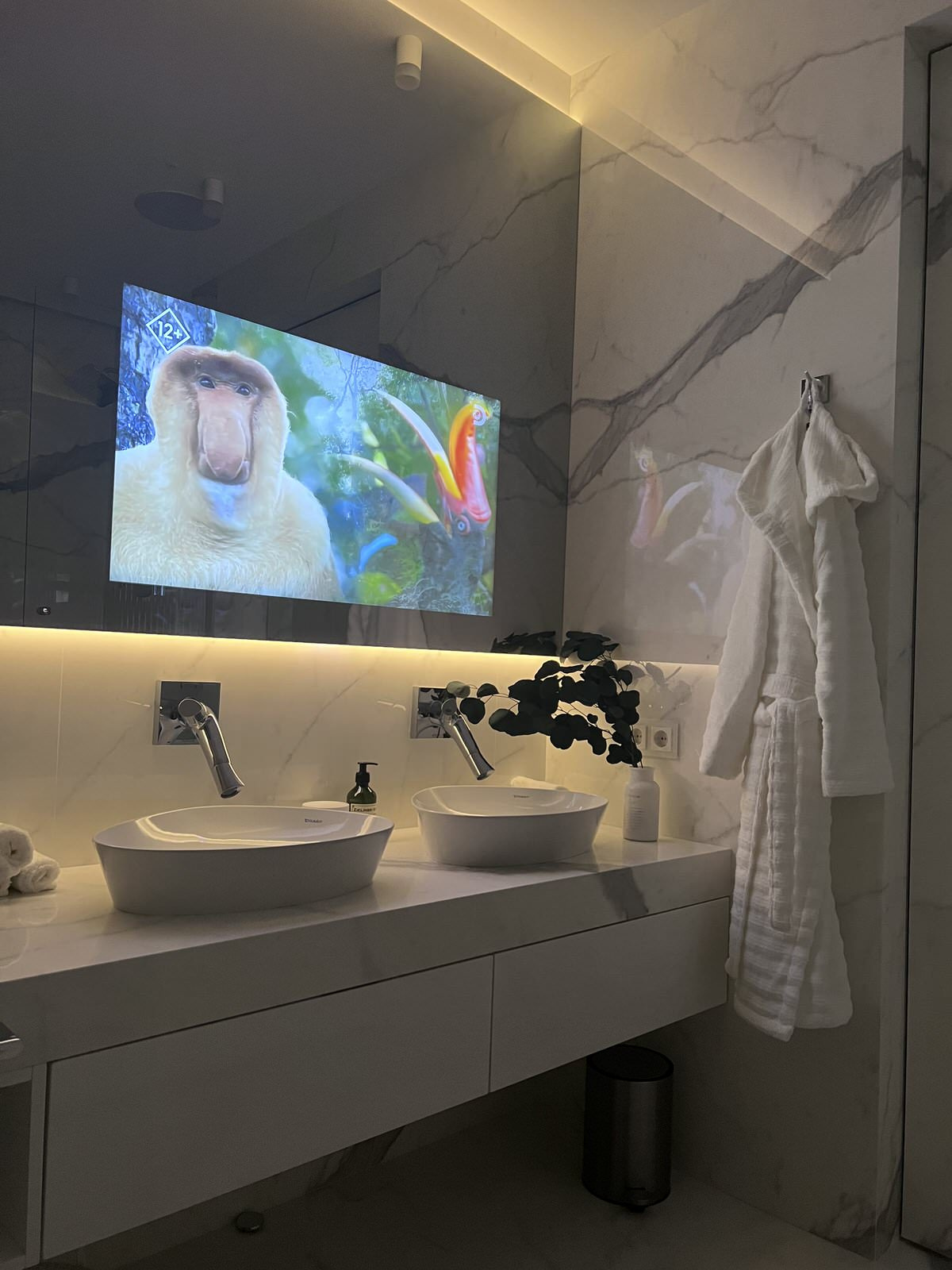 Built-in mirror TV in bathroom