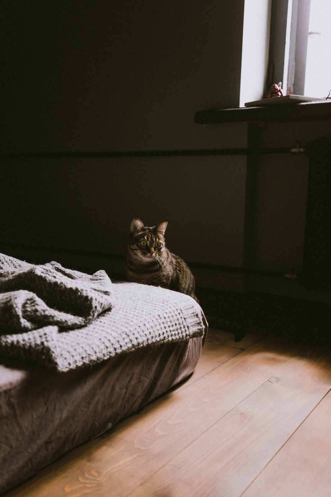 Атмосферная сталинка