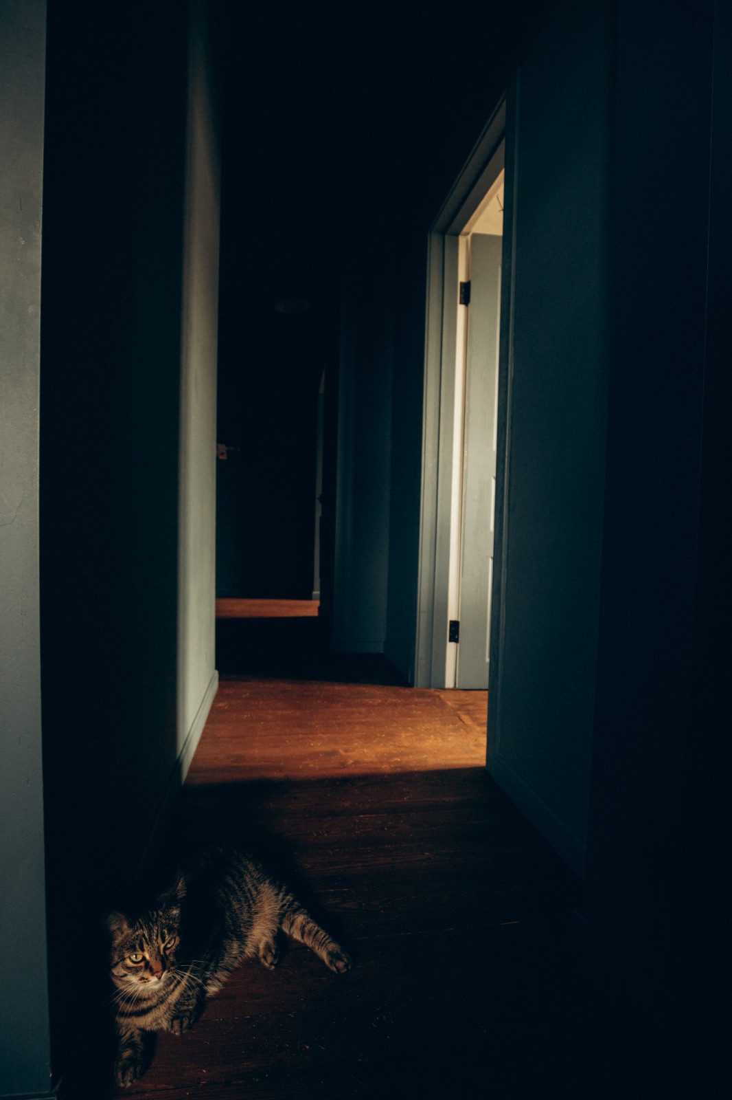 Атмосферная сталинка