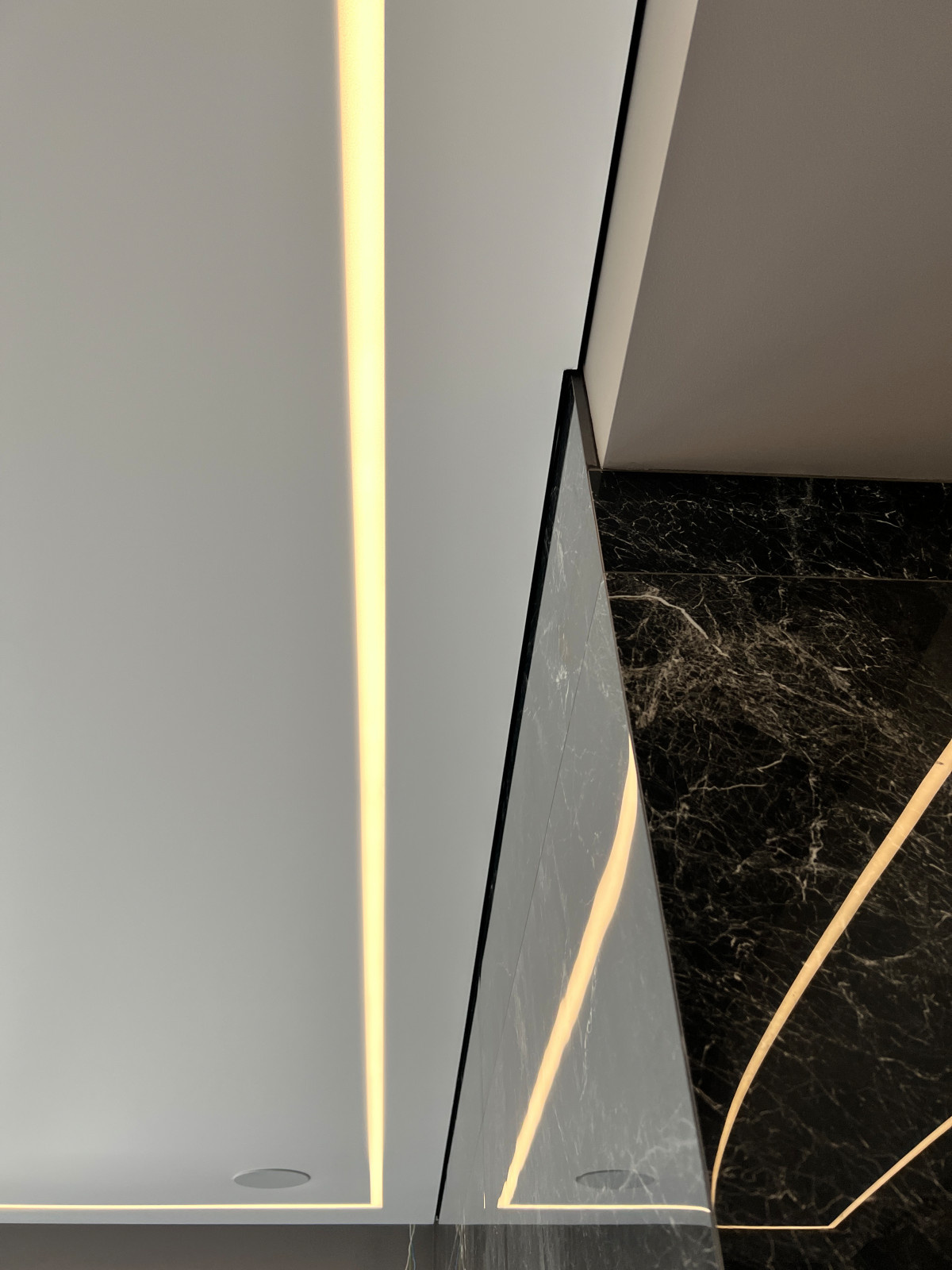 Парящий потолок в Частном Доме. Садки