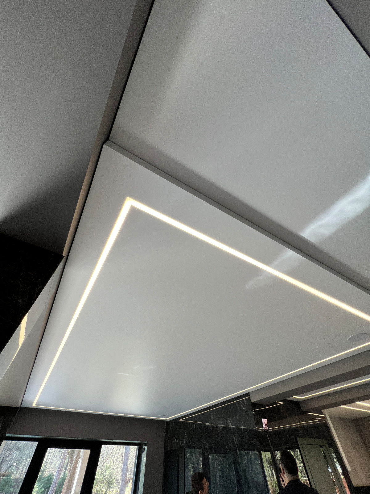 Парящий потолок в Частном Доме. Садки