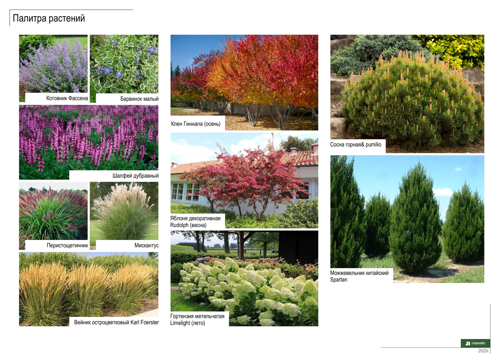 Частный сад Великолепный