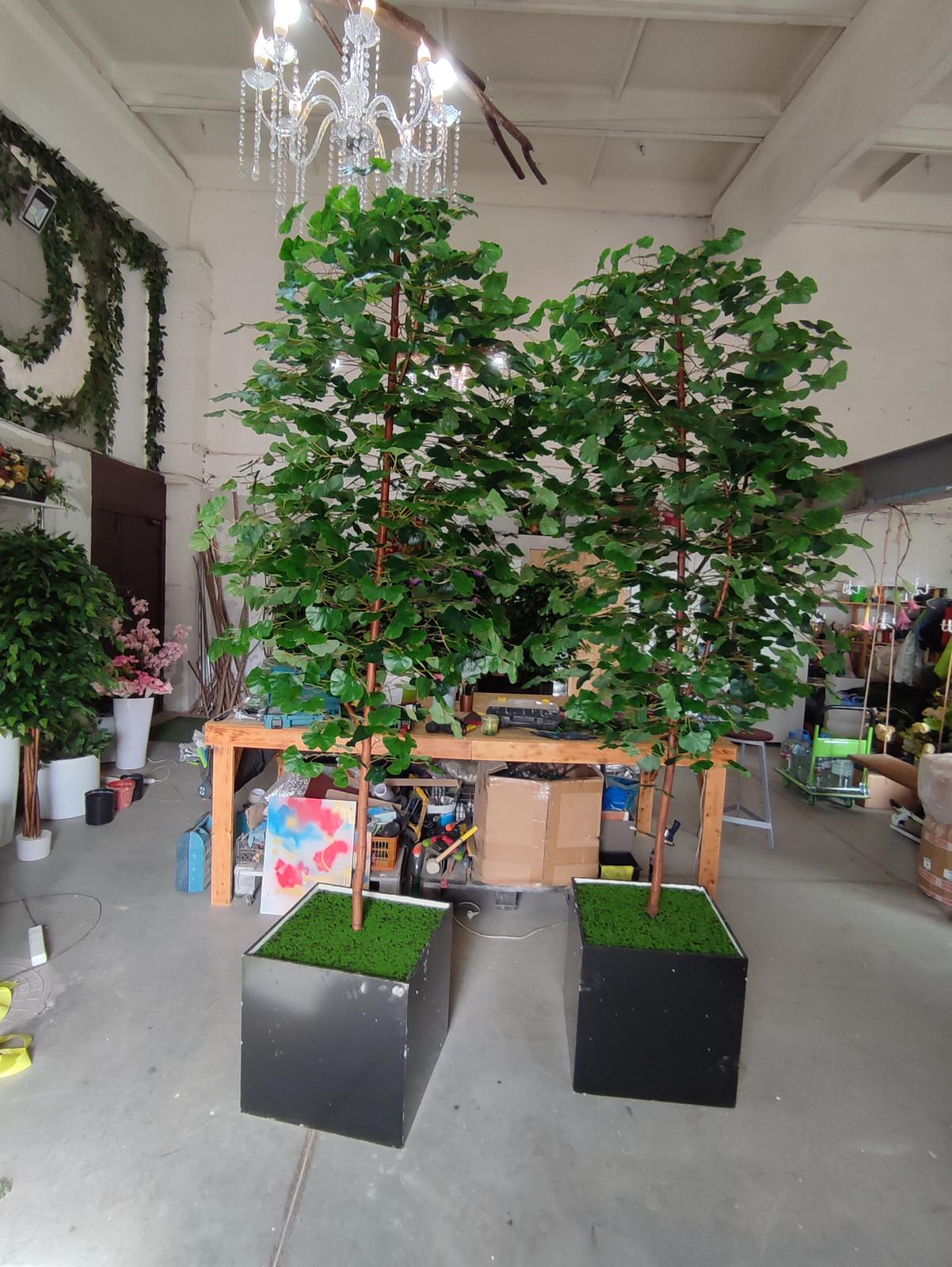 Дерево Гинко для LOGO