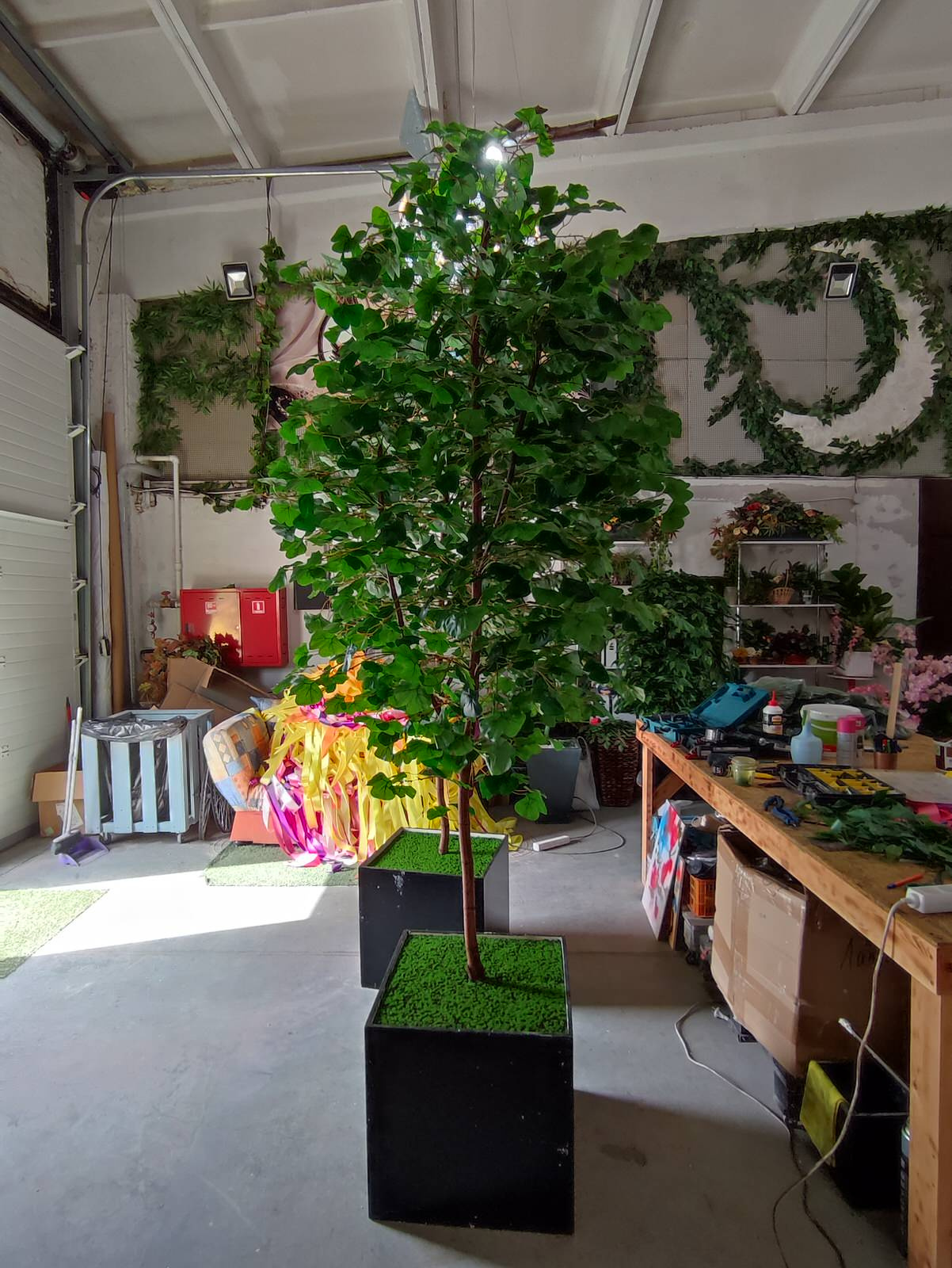 Дерево Гинко для LOGO