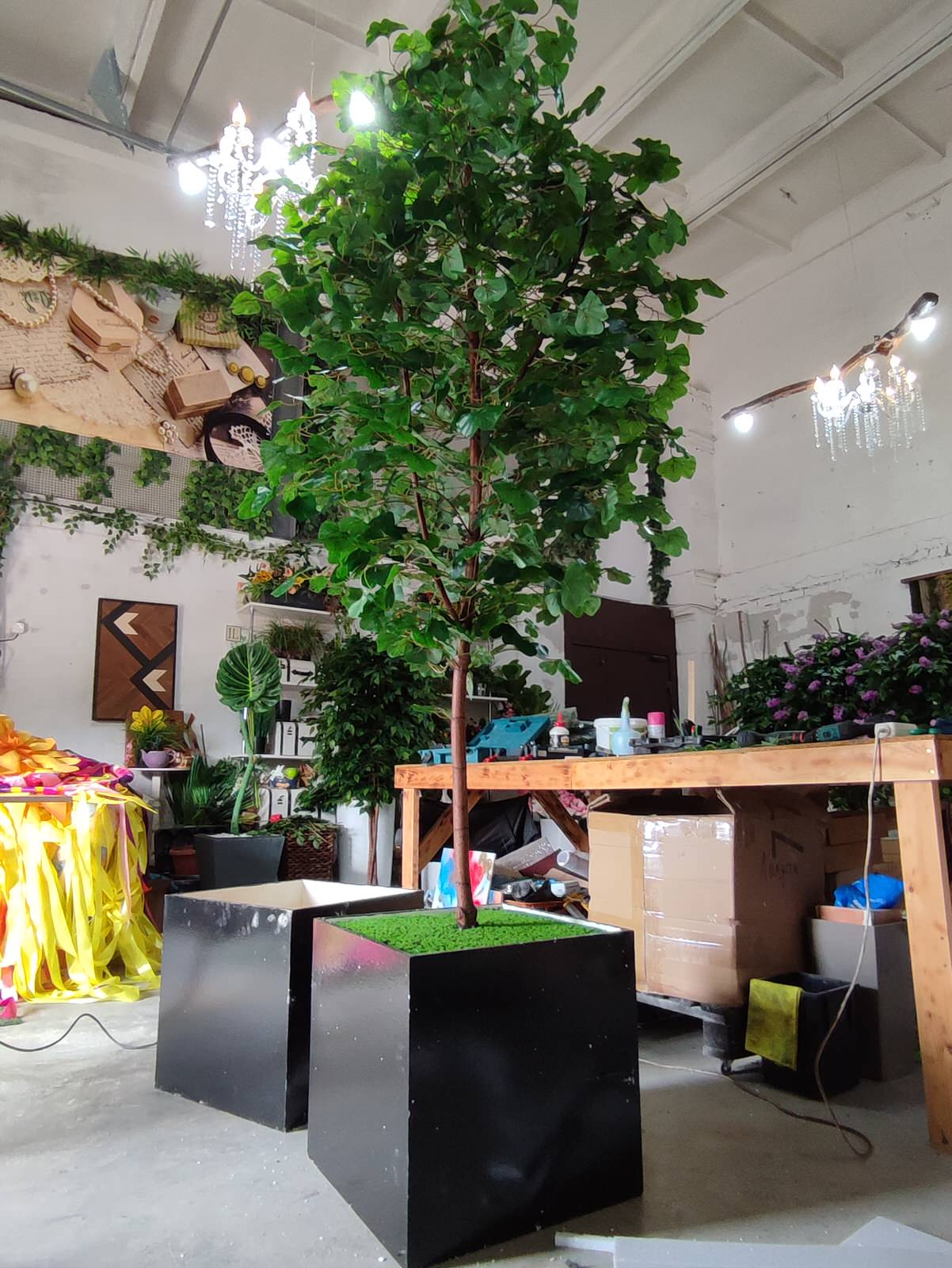 Дерево Гинко для LOGO