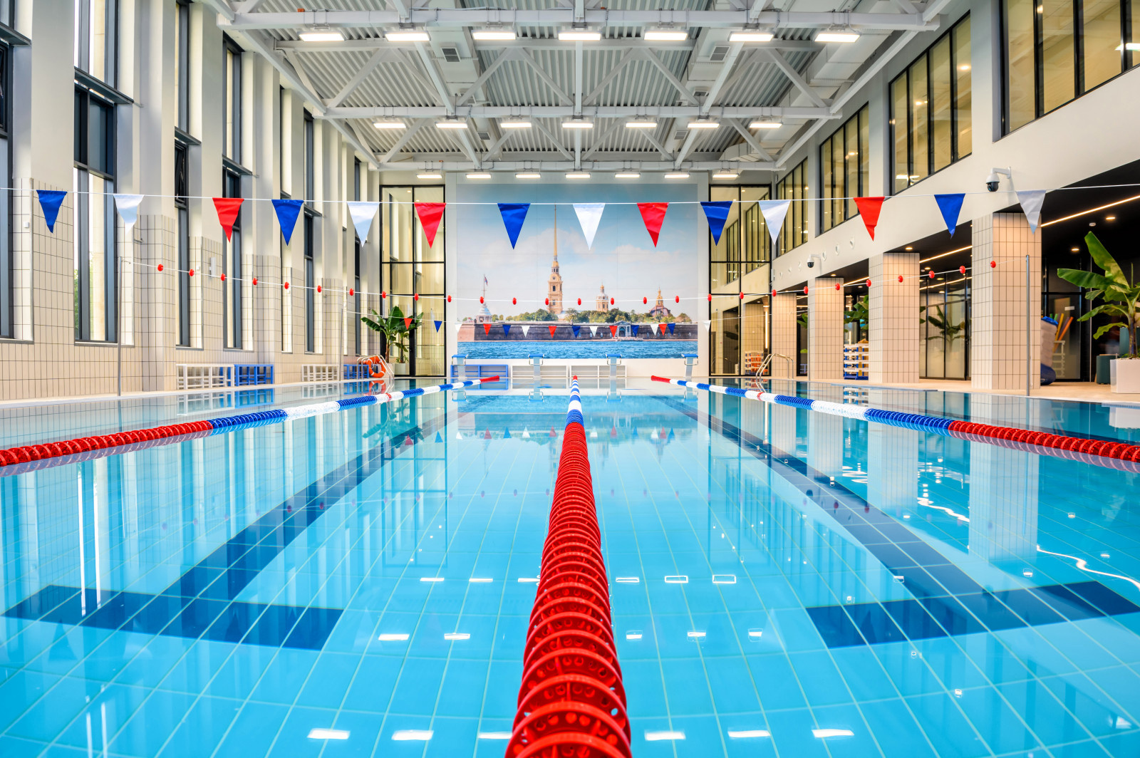 Обложка проекта: ЧОУ "ГАЗПРОМ ШКОЛА САНКТ-ПЕТЕРБУРГ"