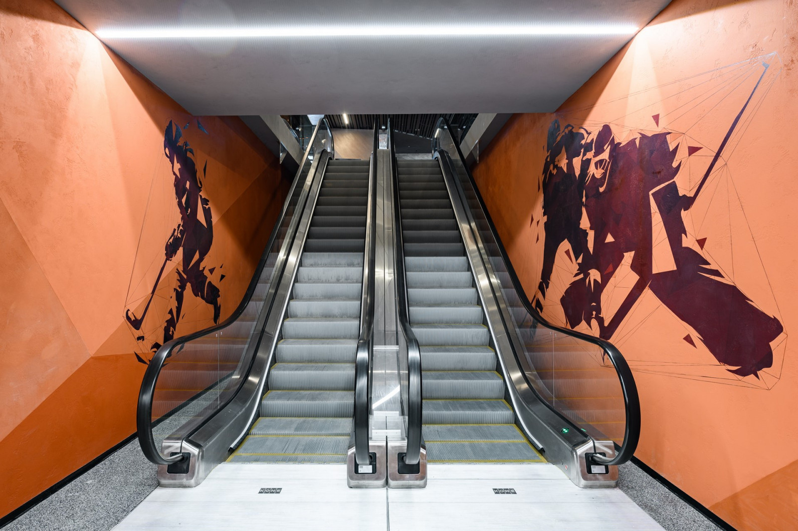 ФИЗКУЛЬТУРНО-ОЗДОРОВИТЕЛЬНЫЙ КОМПЛЕКС С КАТКОМ В ЛЕНИНГРАДСКОЙ ОБЛАСТИ