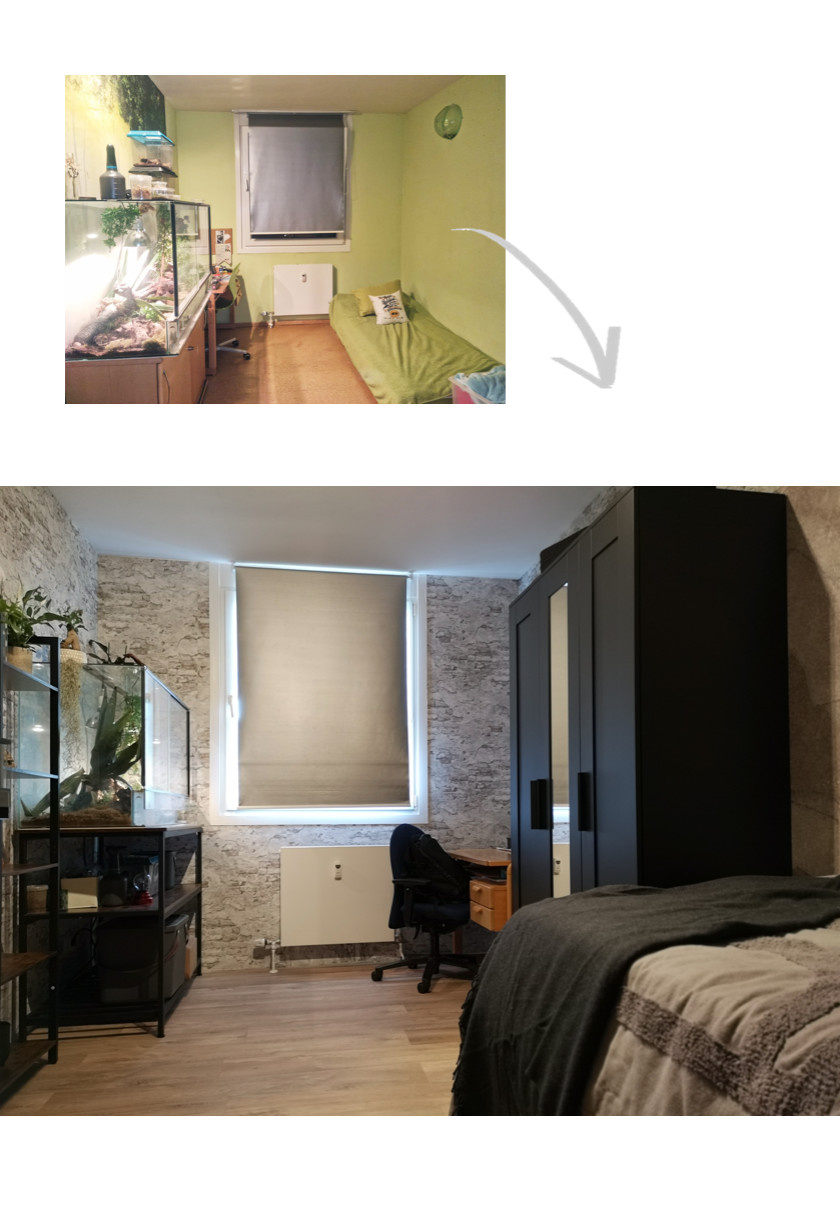 КОМНАТА ДЛЯ ПОДРОСТКА И ЕГО ПИТОМЦЕВ