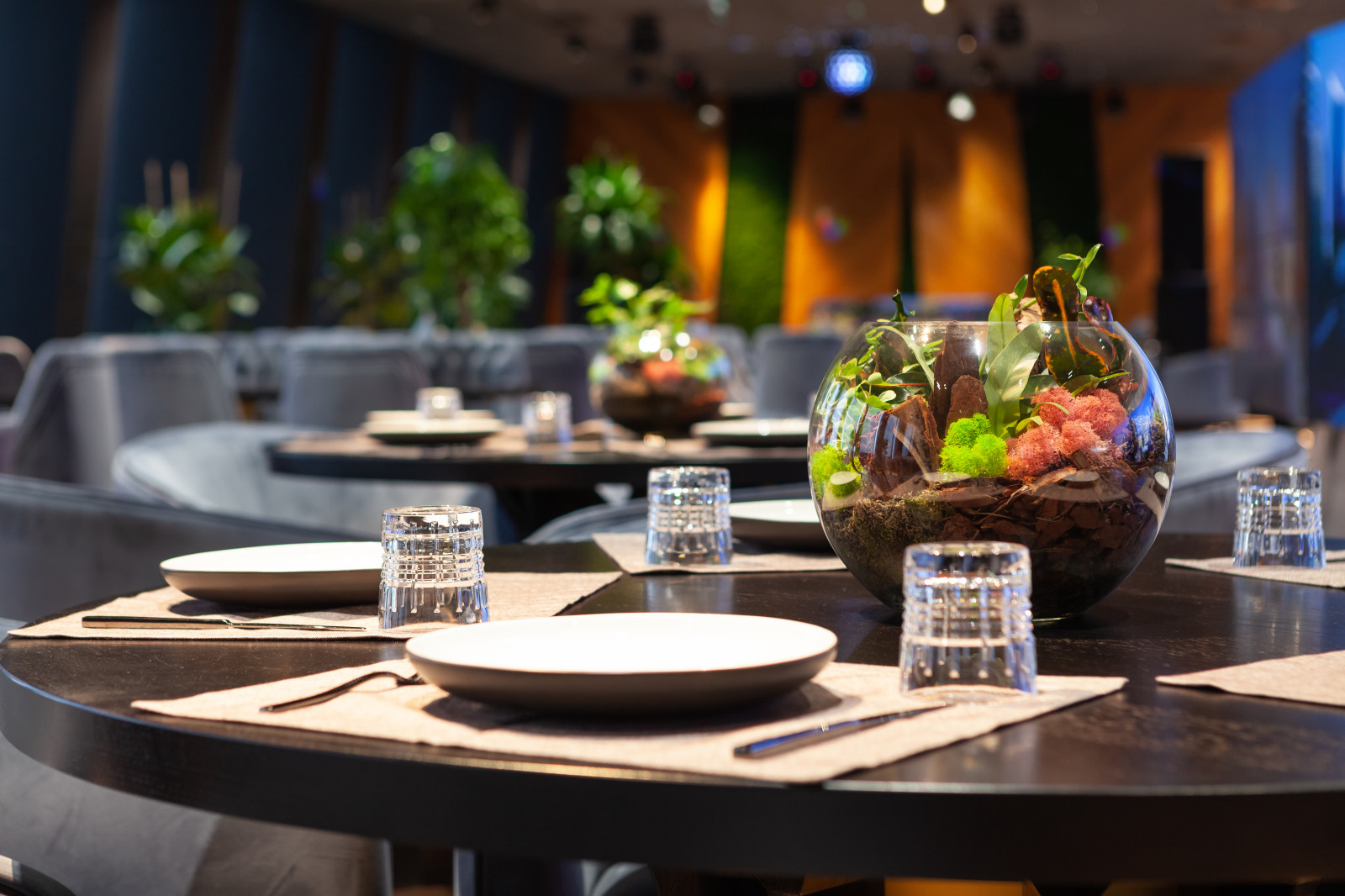 Ресторан Матрешка. Сколково