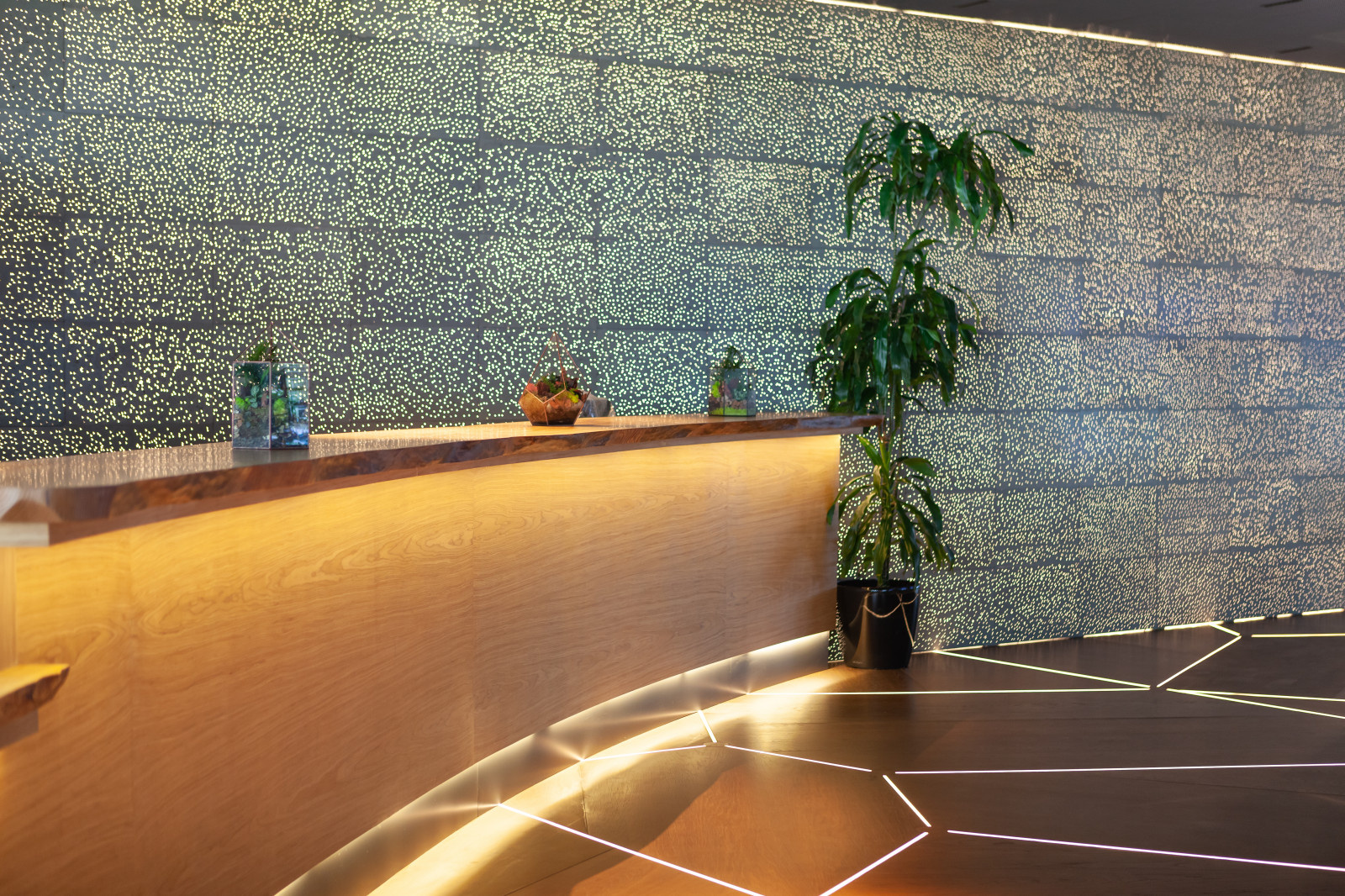 Ресторан Матрешка. Сколково