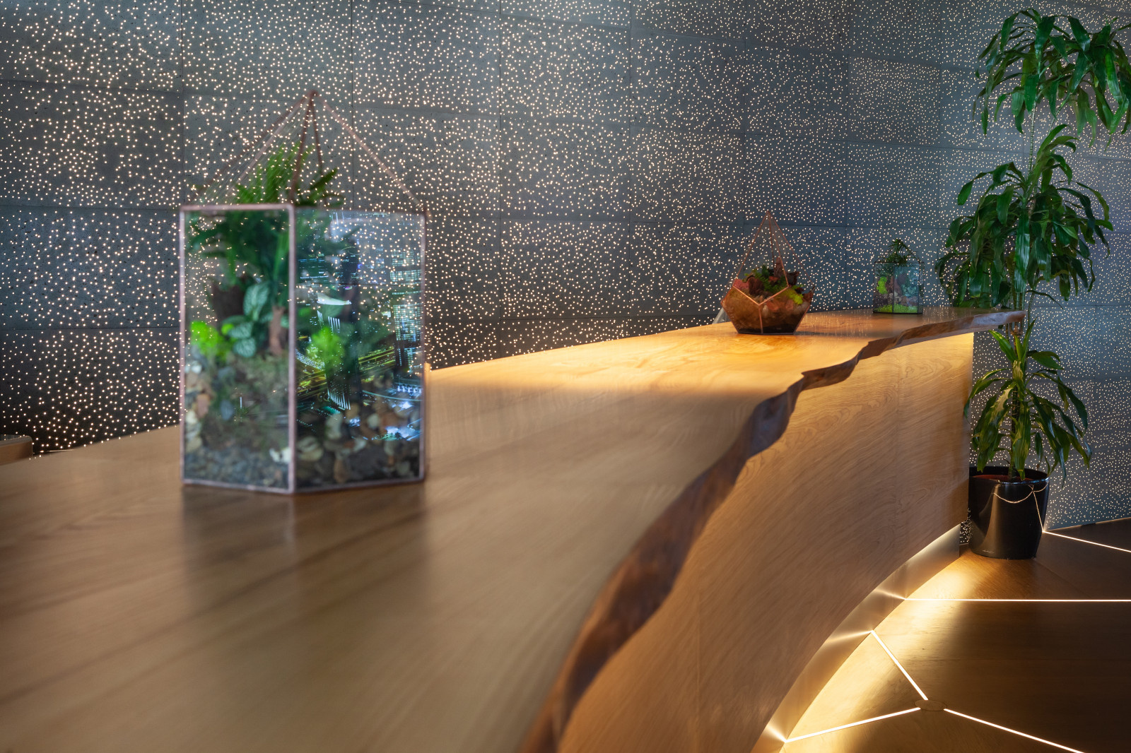 Ресторан Матрешка. Сколково