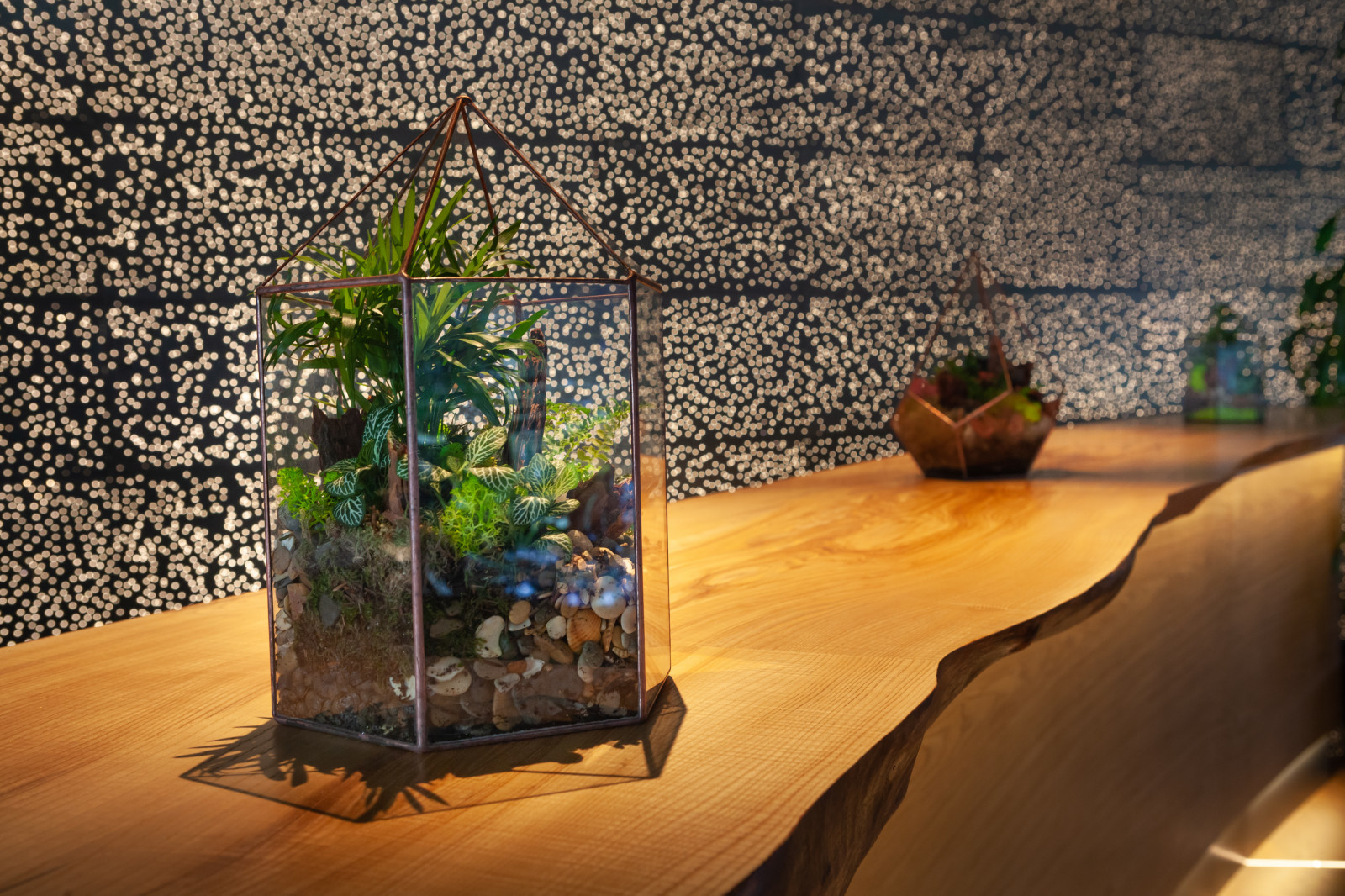 Обложка проекта: Ресторан Матрешка. Сколково