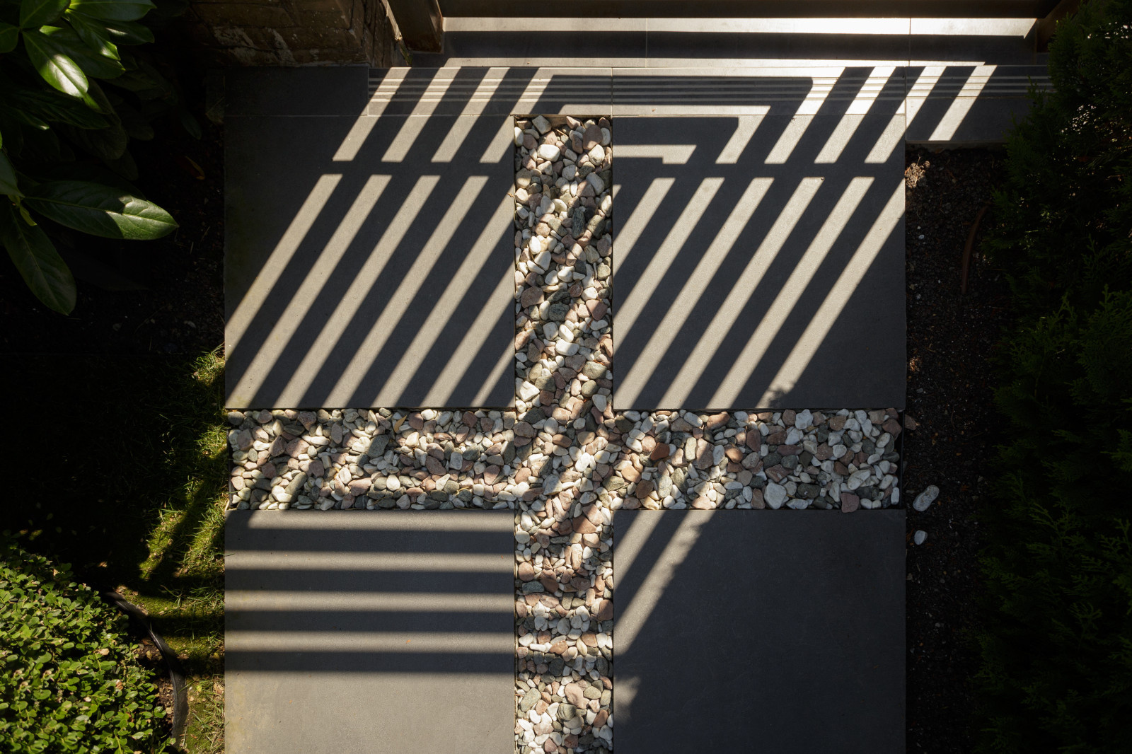 Розмарин. Ландшафтный Дизайн