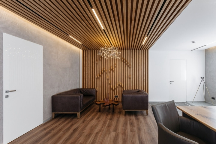 Office of the Developer Company "Termex"