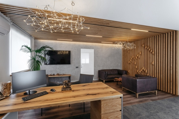 Office of the Developer Company "Termex"