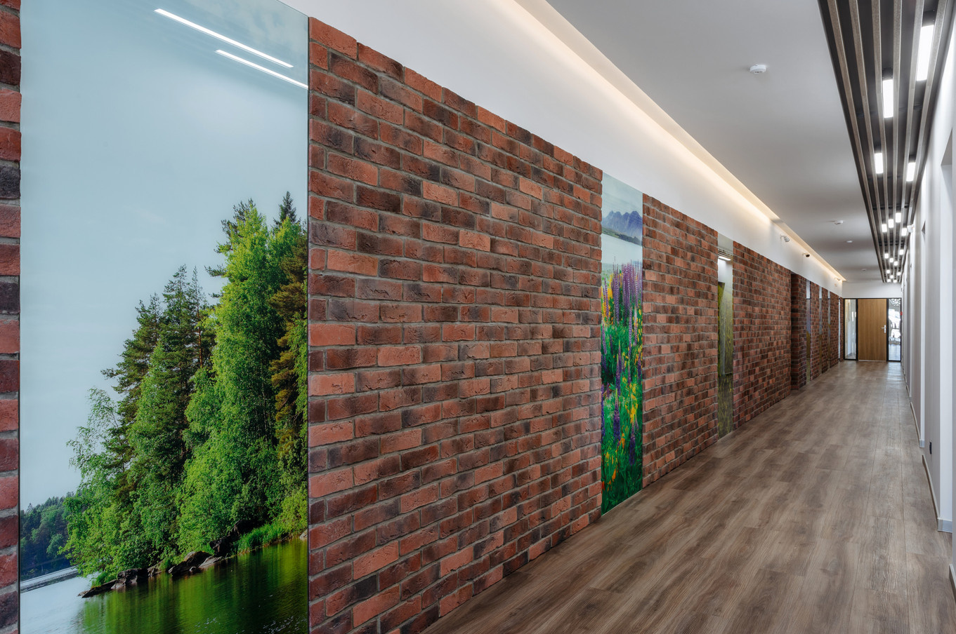 Office of the Developer Company "Termex"