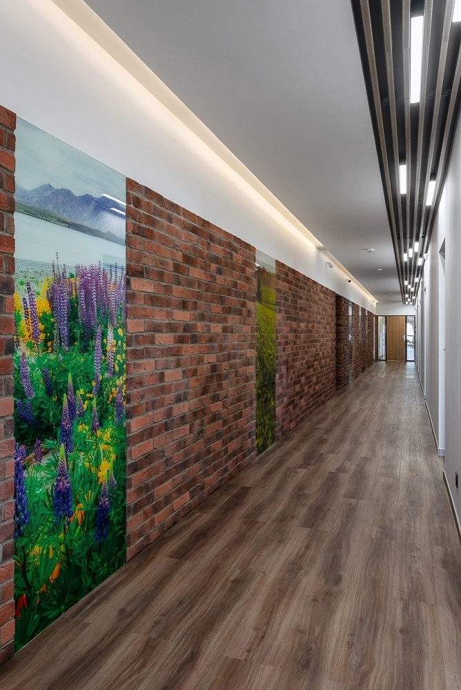 Office of the Developer Company "Termex"