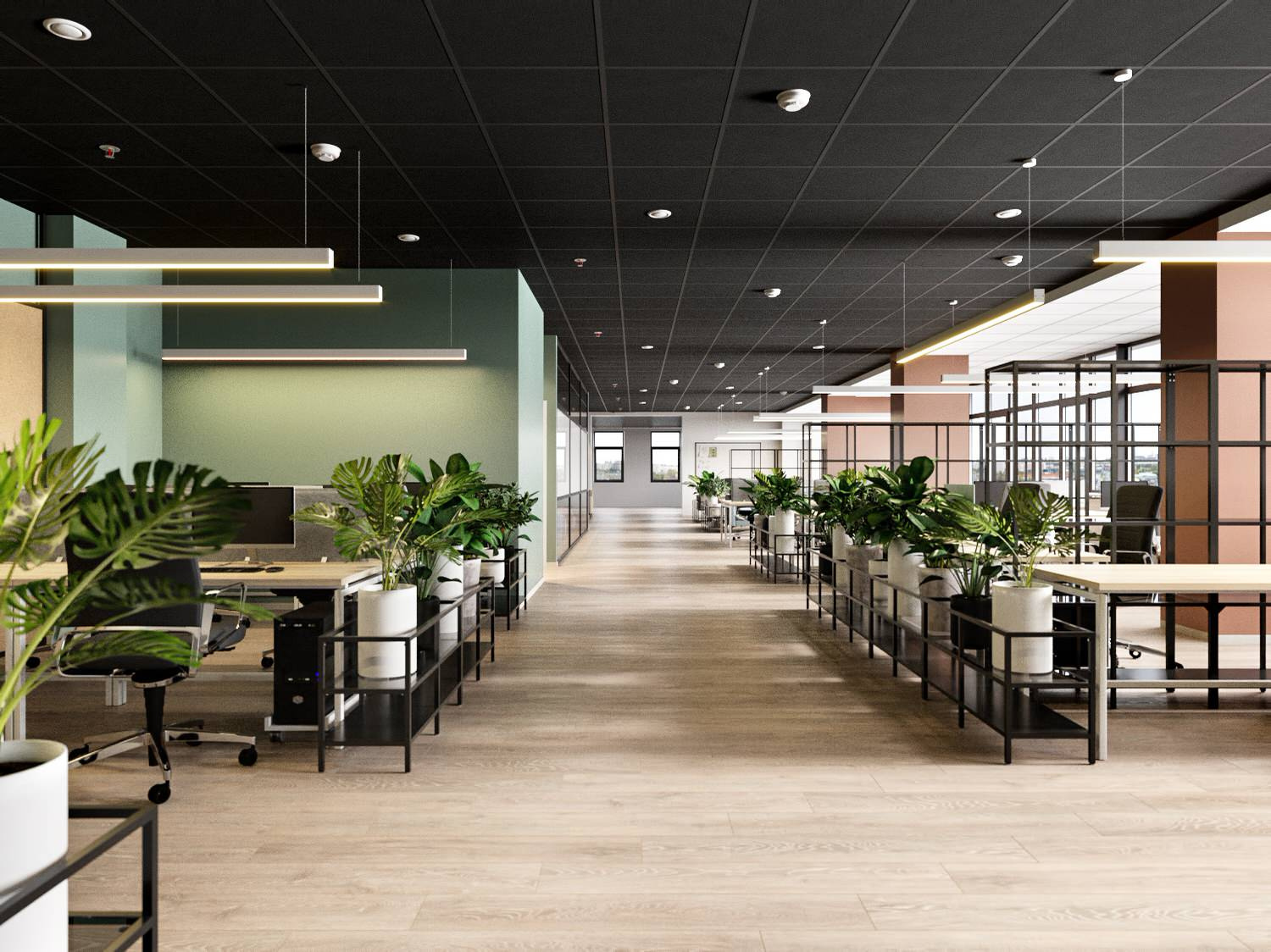 Ascreen Office Project in Open Space Style