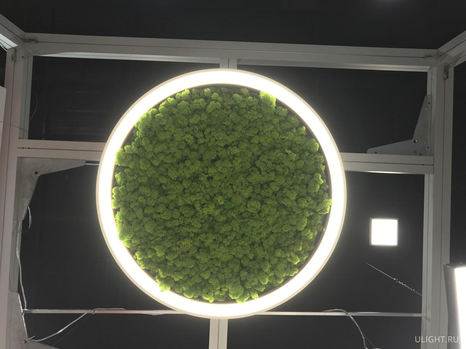 HOKASU at the InterStroyExpo 2019 Exhibition