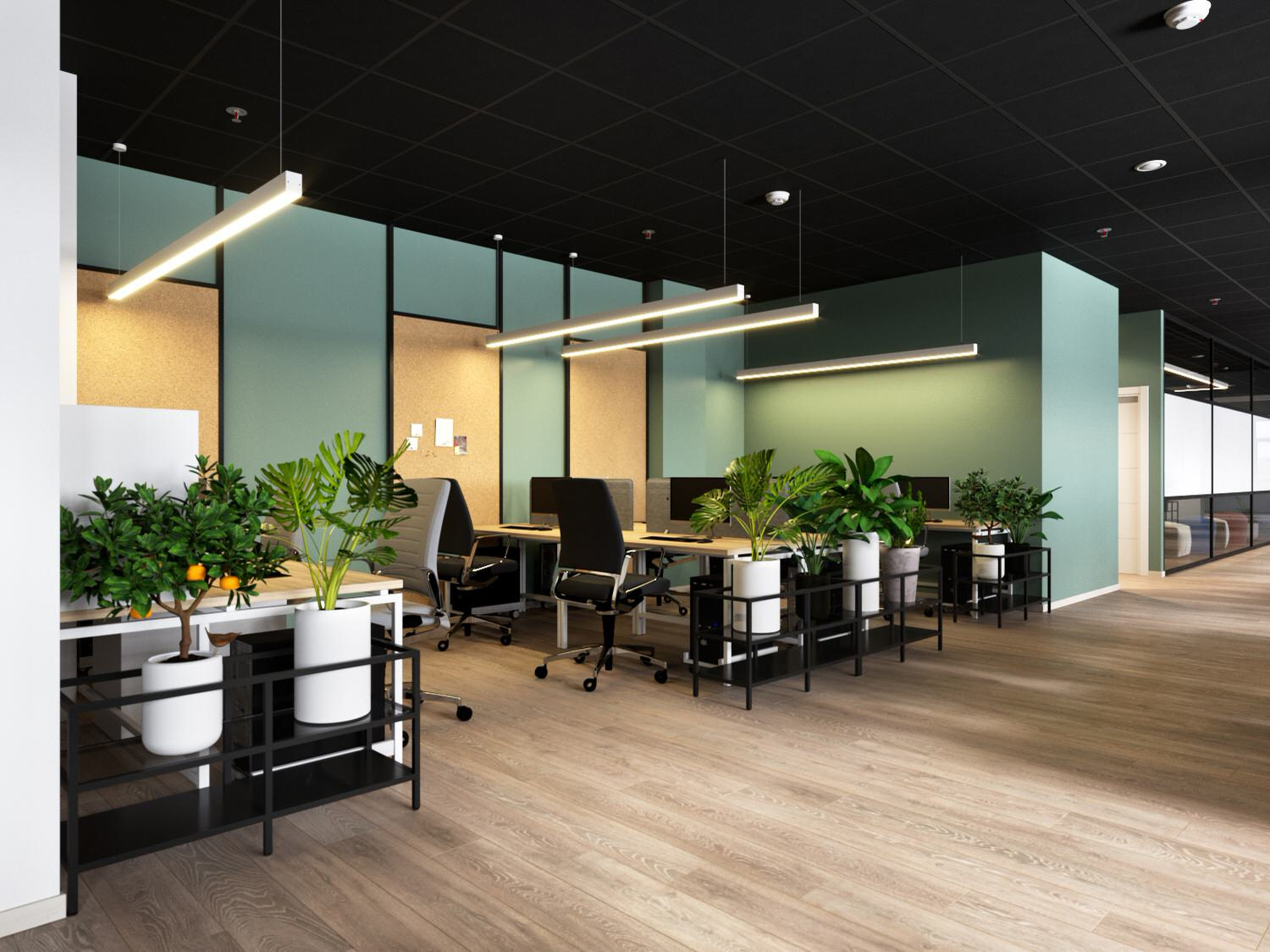 Ascreen Office Project in Open Space Style
