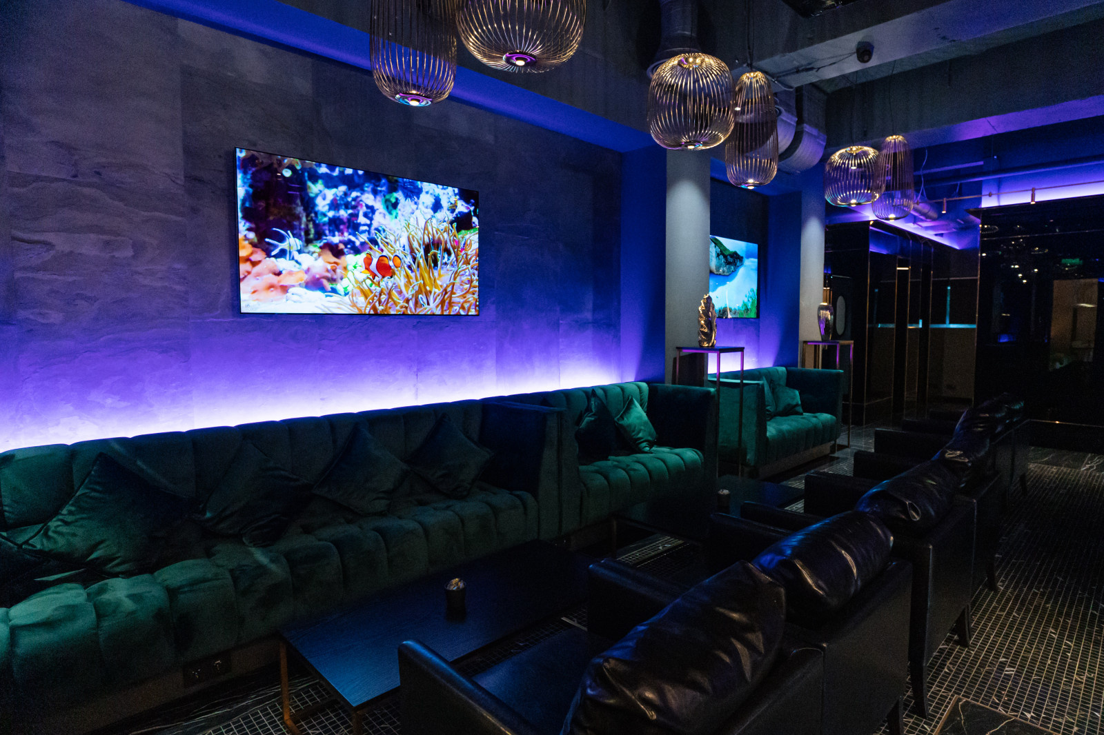 Меблировка ресторана Dominion