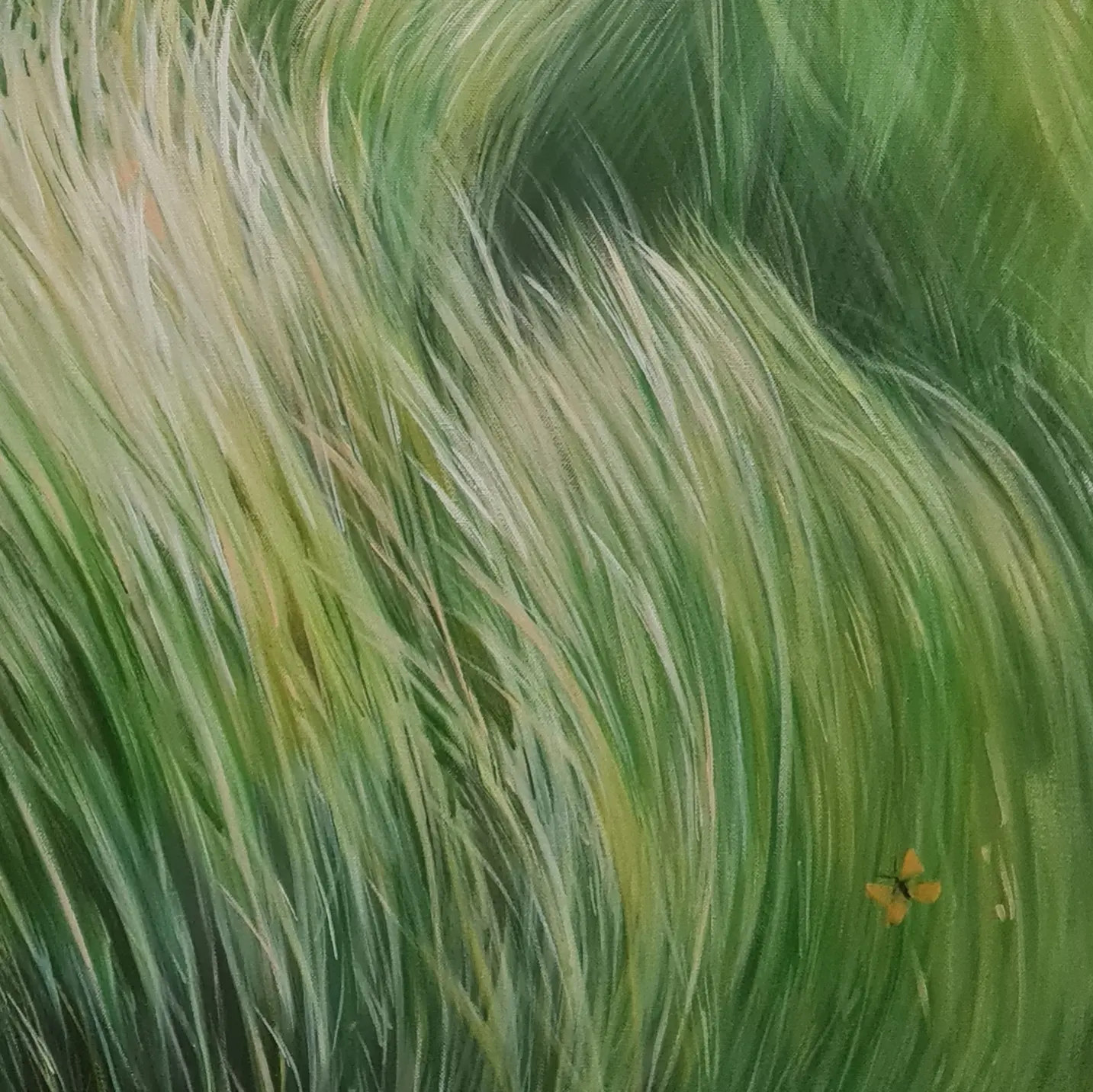 Детали ,картины