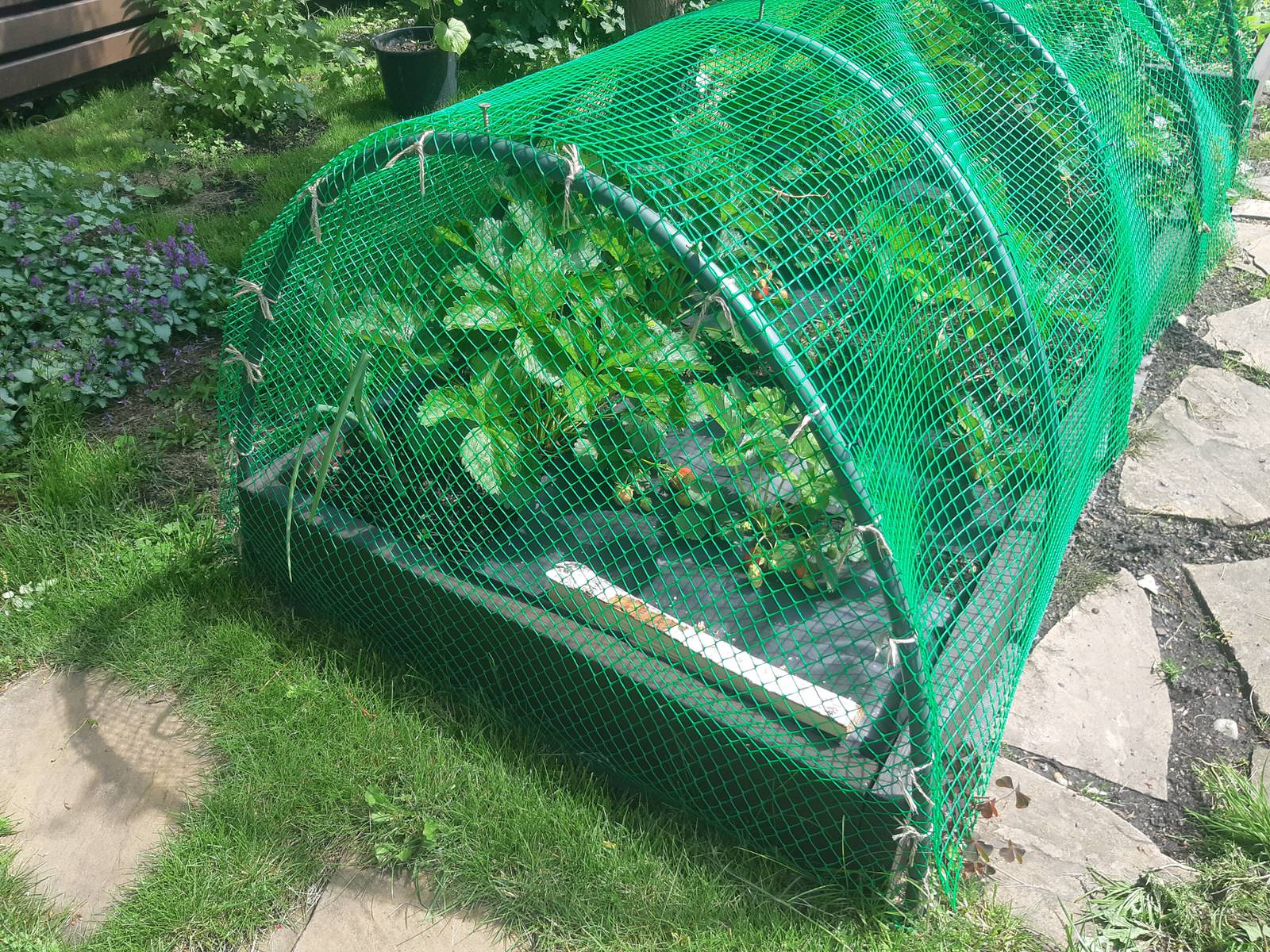 Медведково