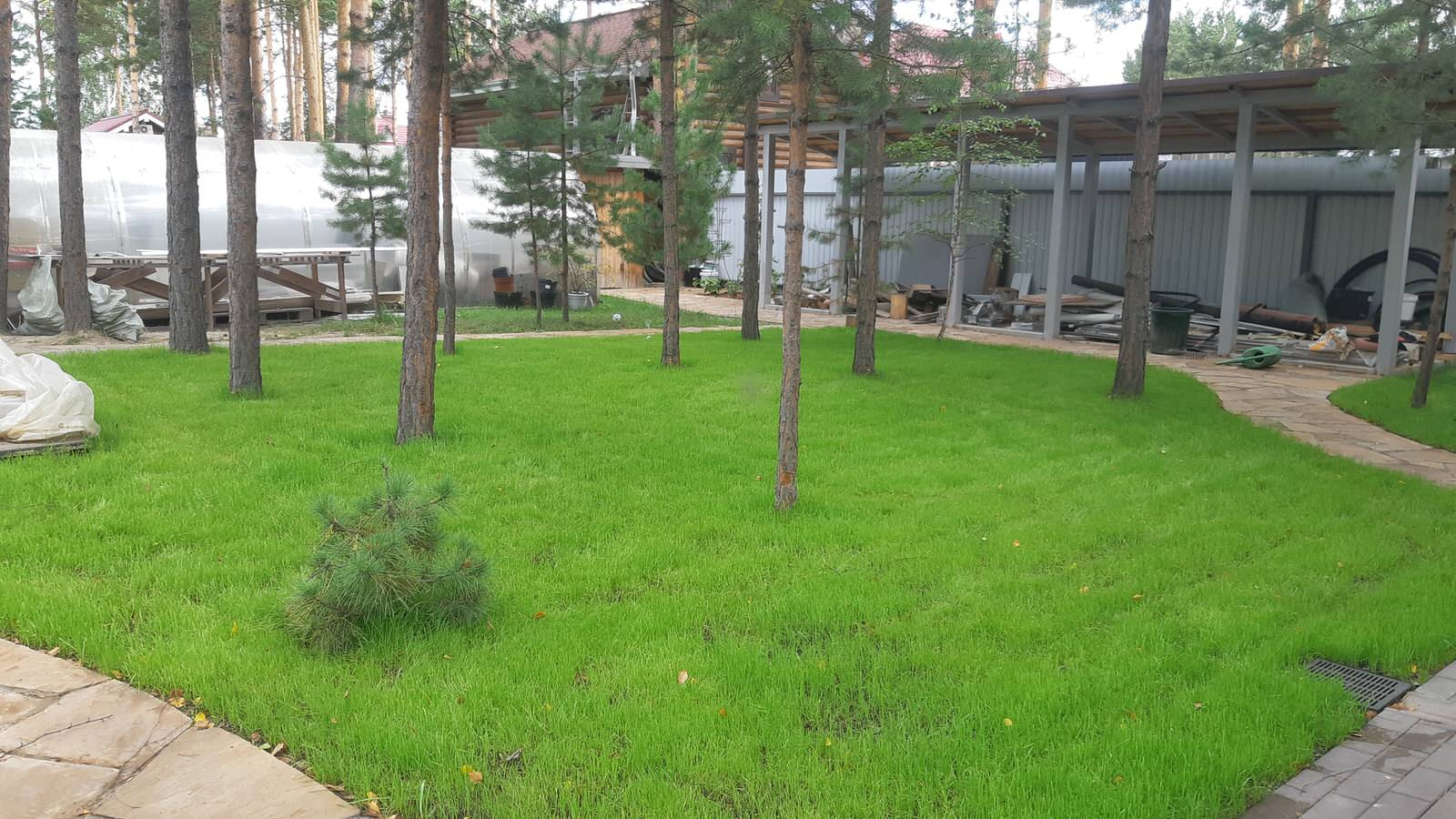 Серебрянный бор - 2