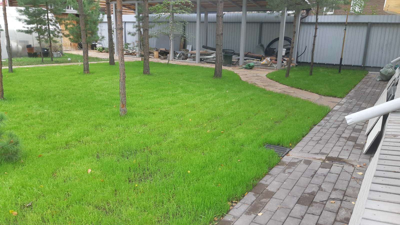 Серебрянный бор - 2