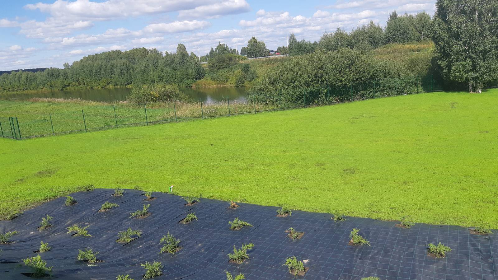 Парк Здоровье