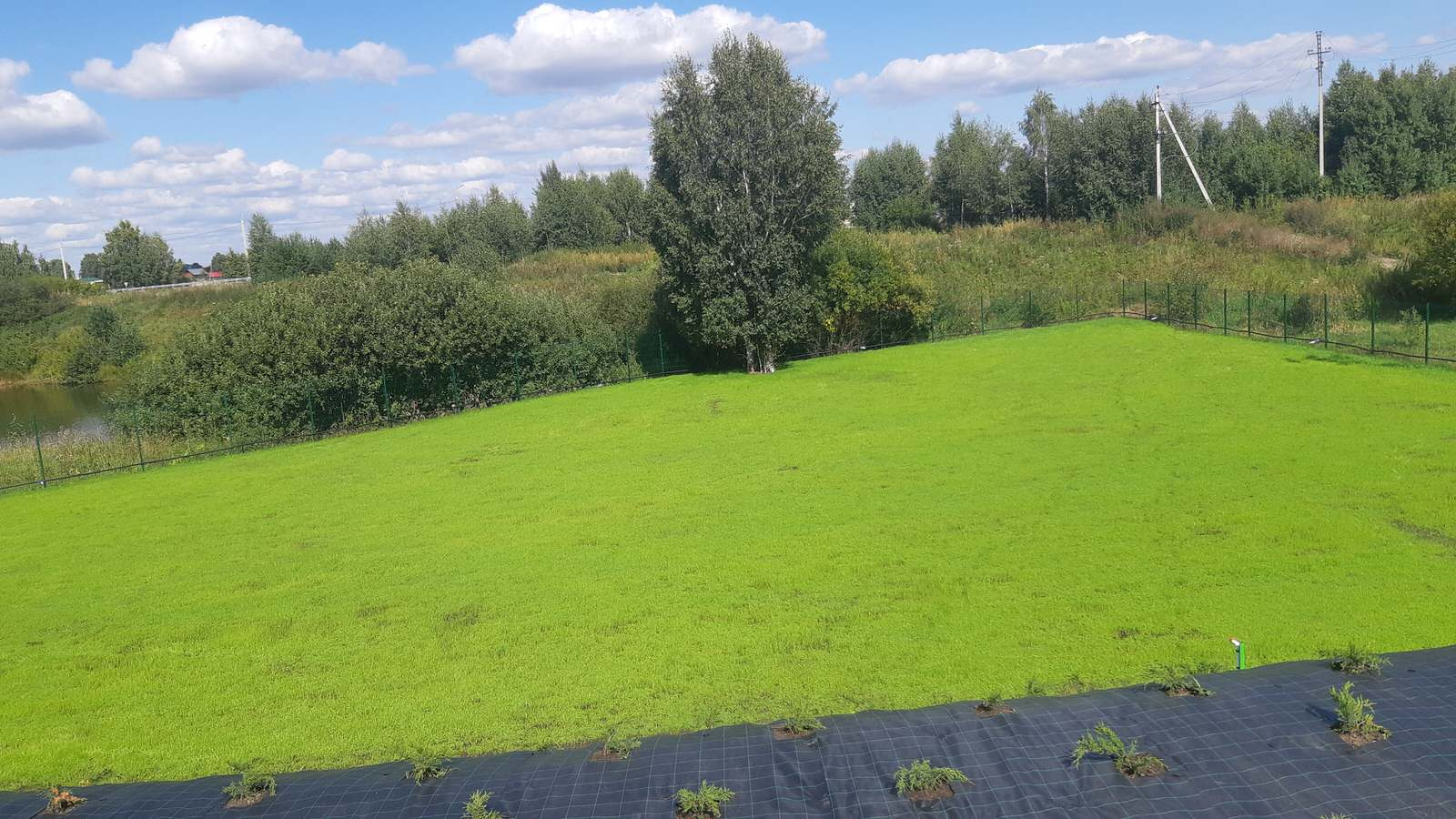 Парк Здоровье