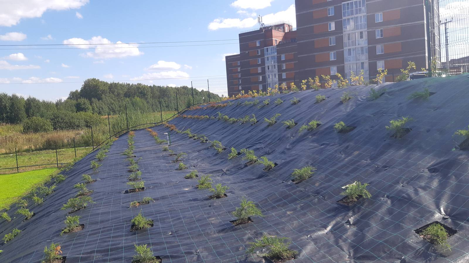 Парк Здоровье