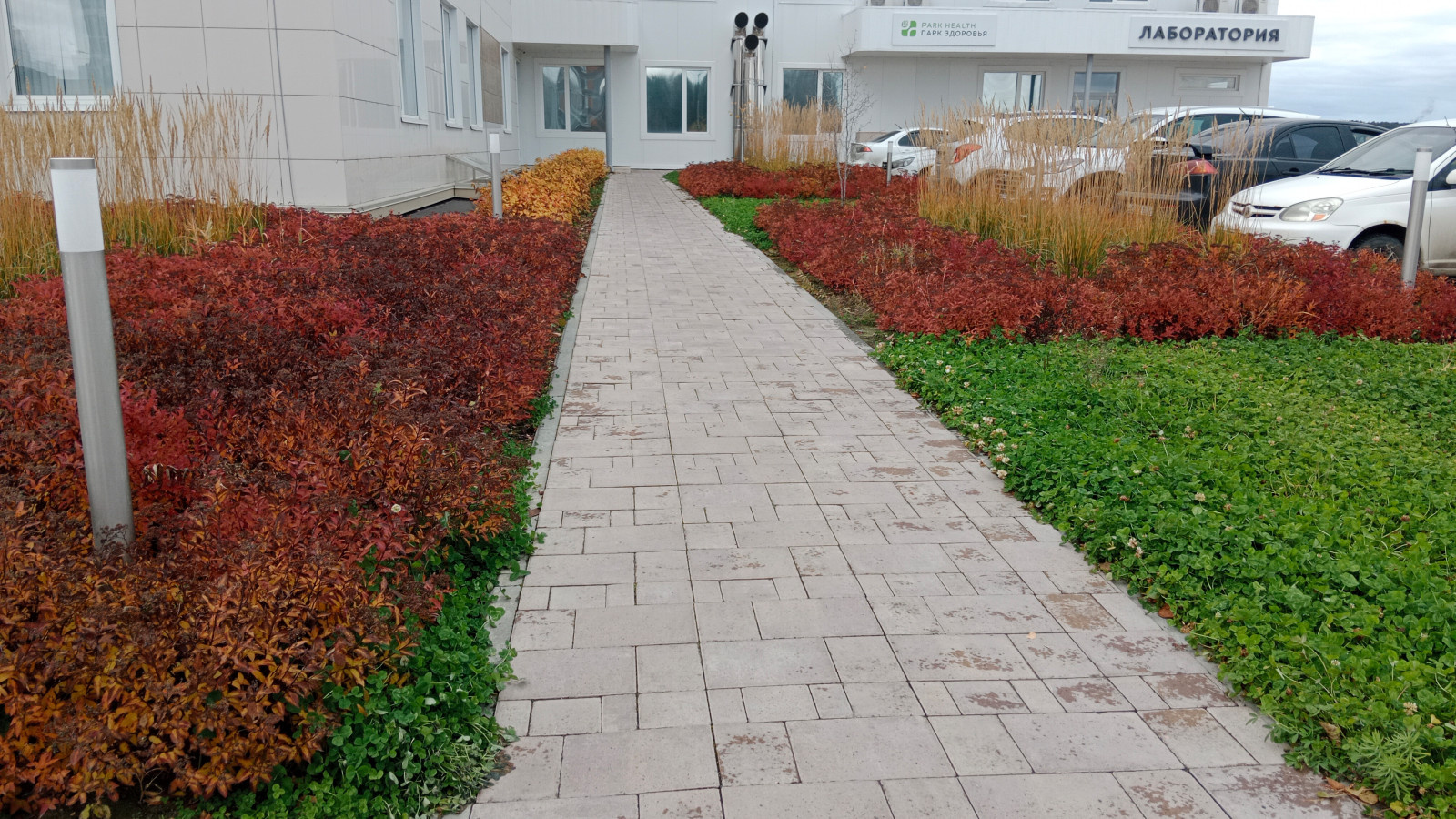 Парк Здоровье