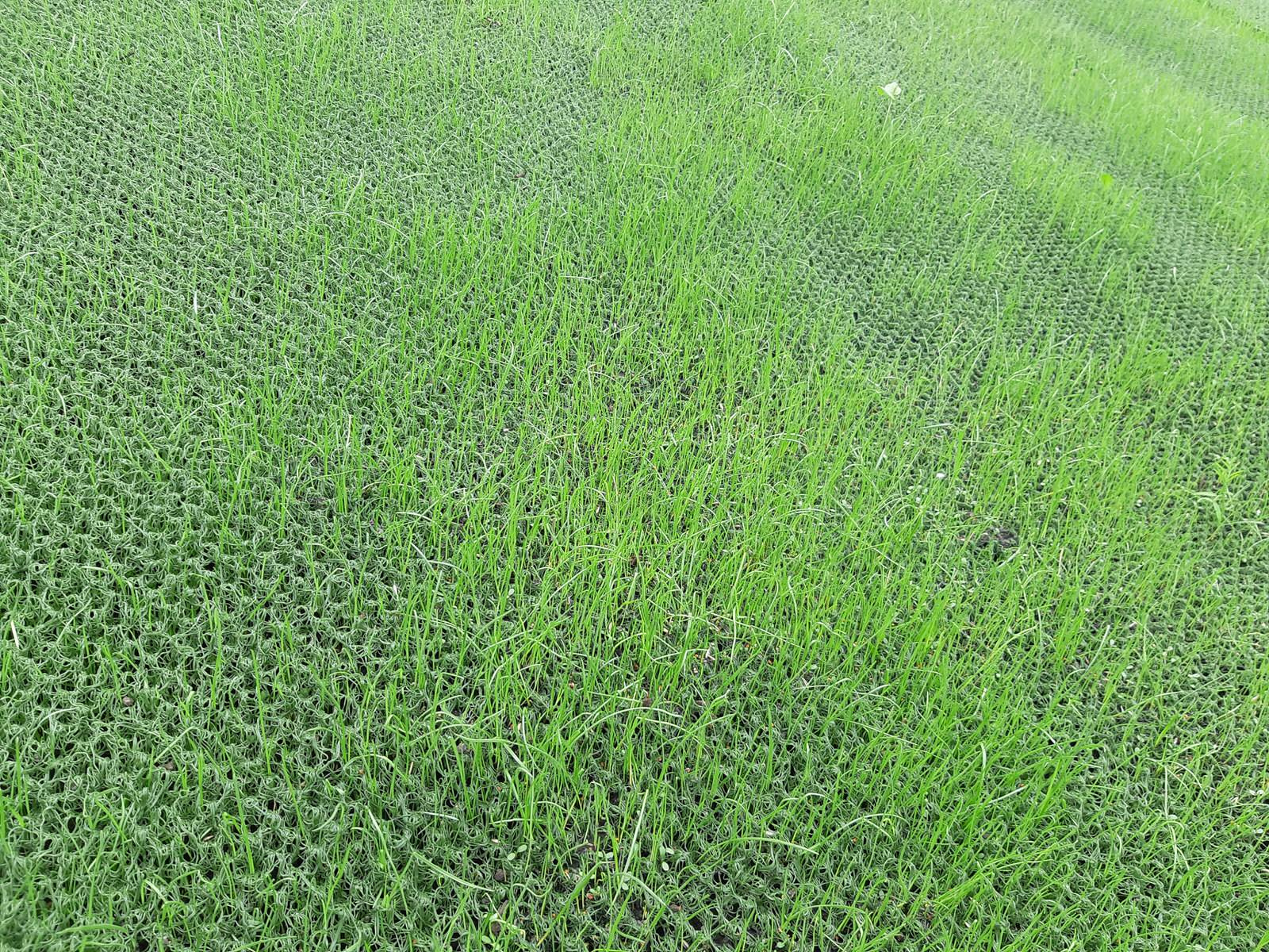 Парк Здоровье