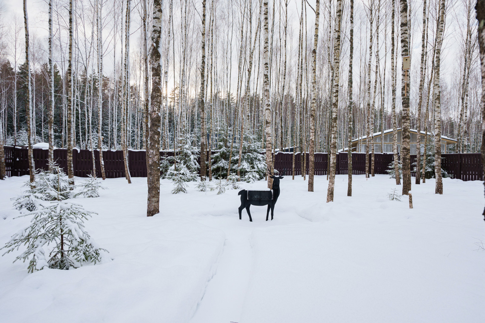 Уютный дом среди берез