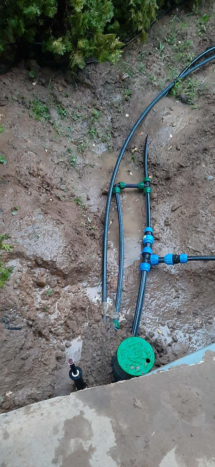 ДНП Арт Эко