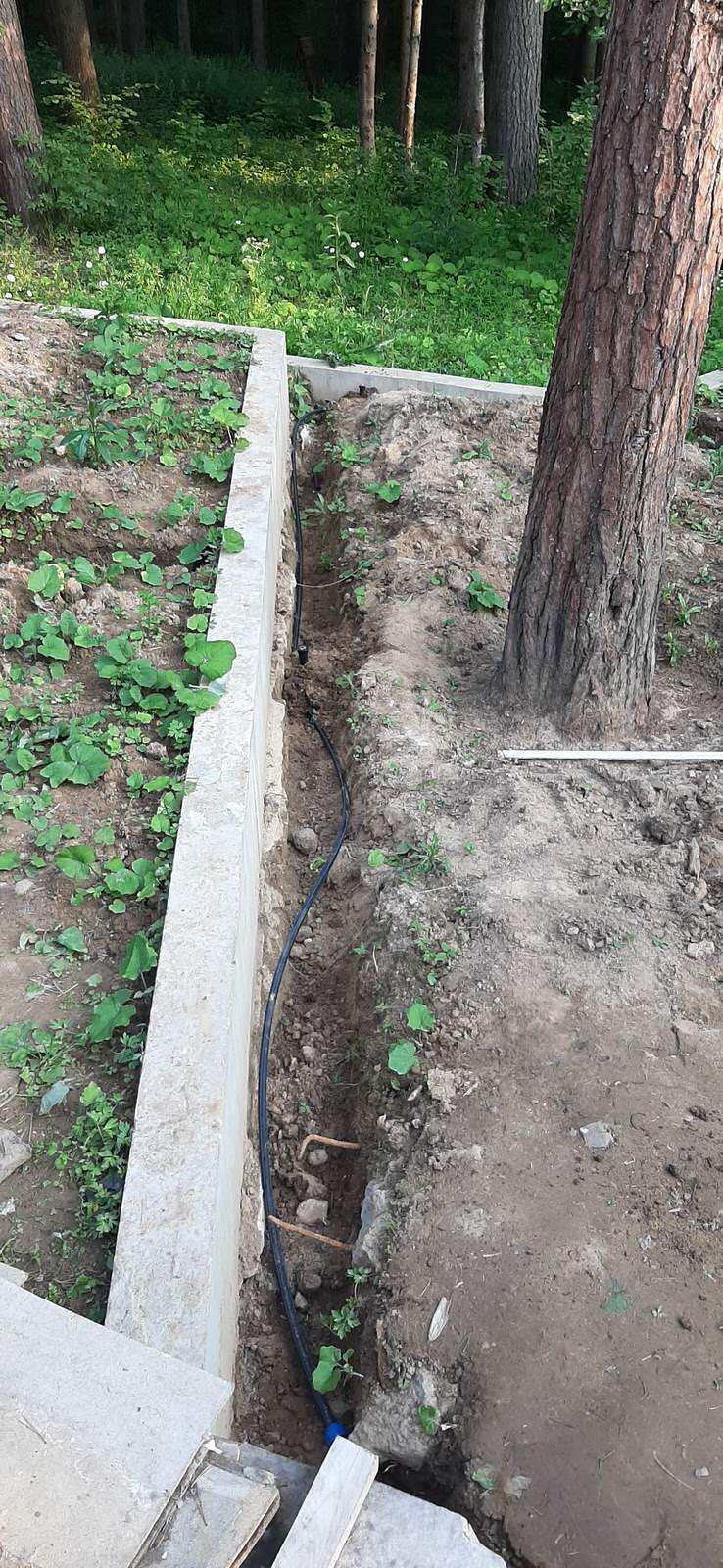 Обложка проекта: ДНП Арт Эко