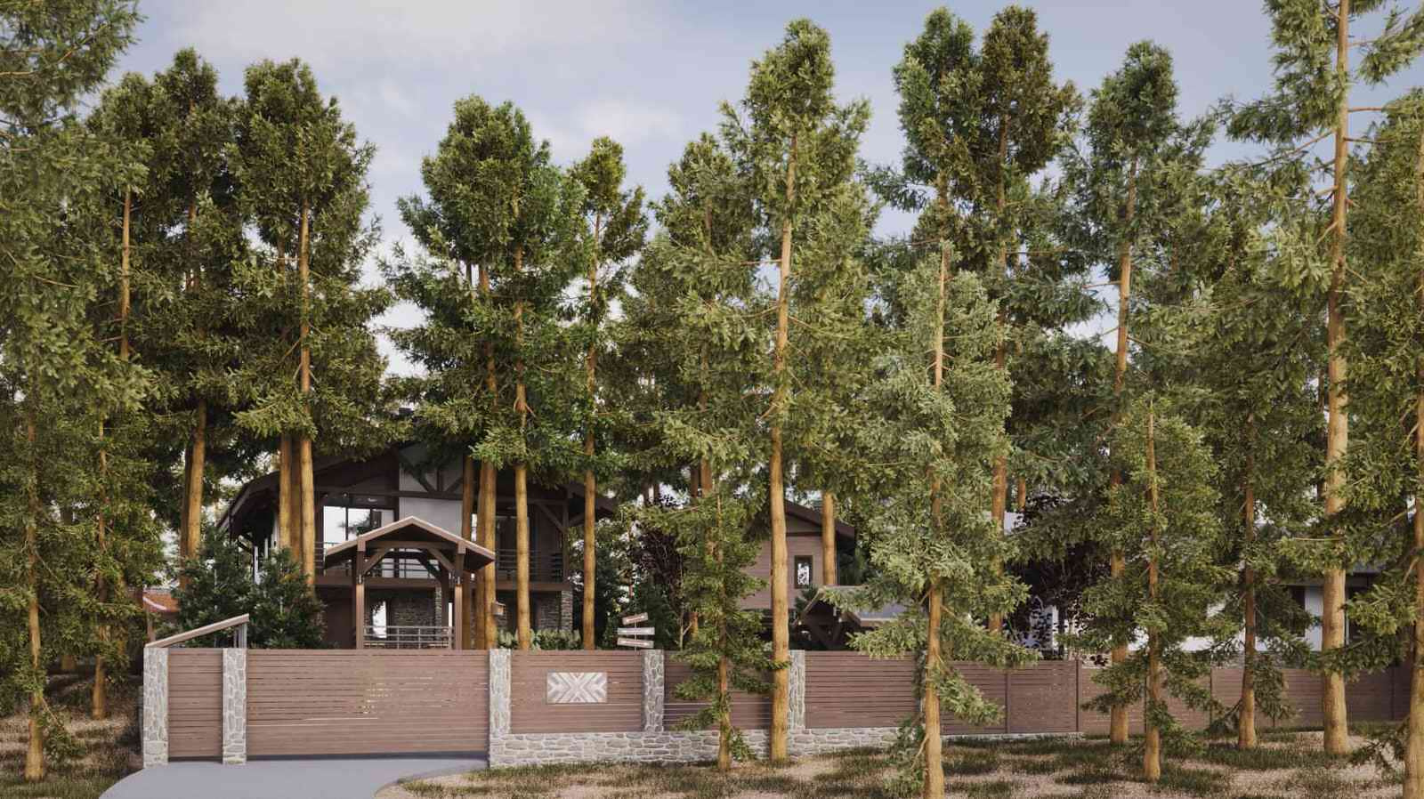 Лесные просторы