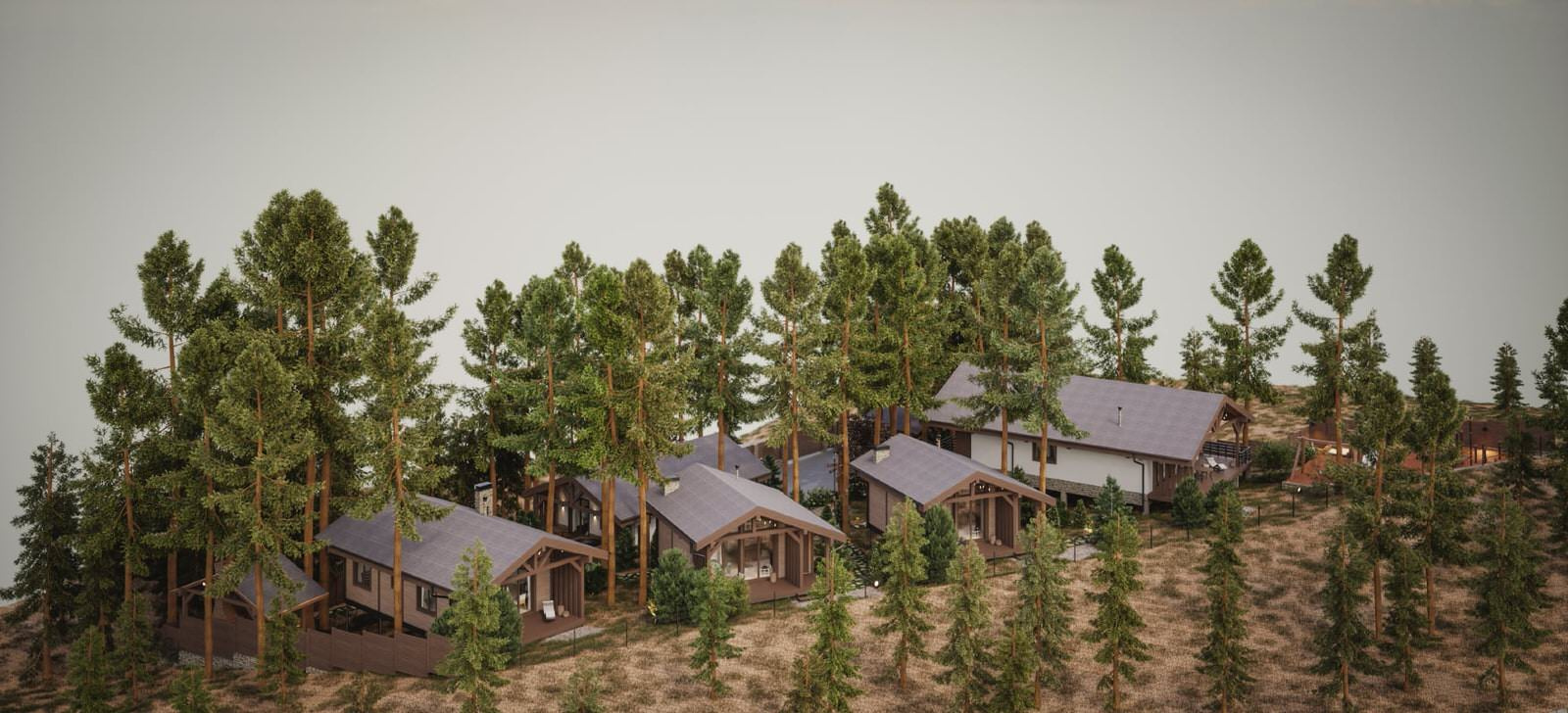 Лесные просторы