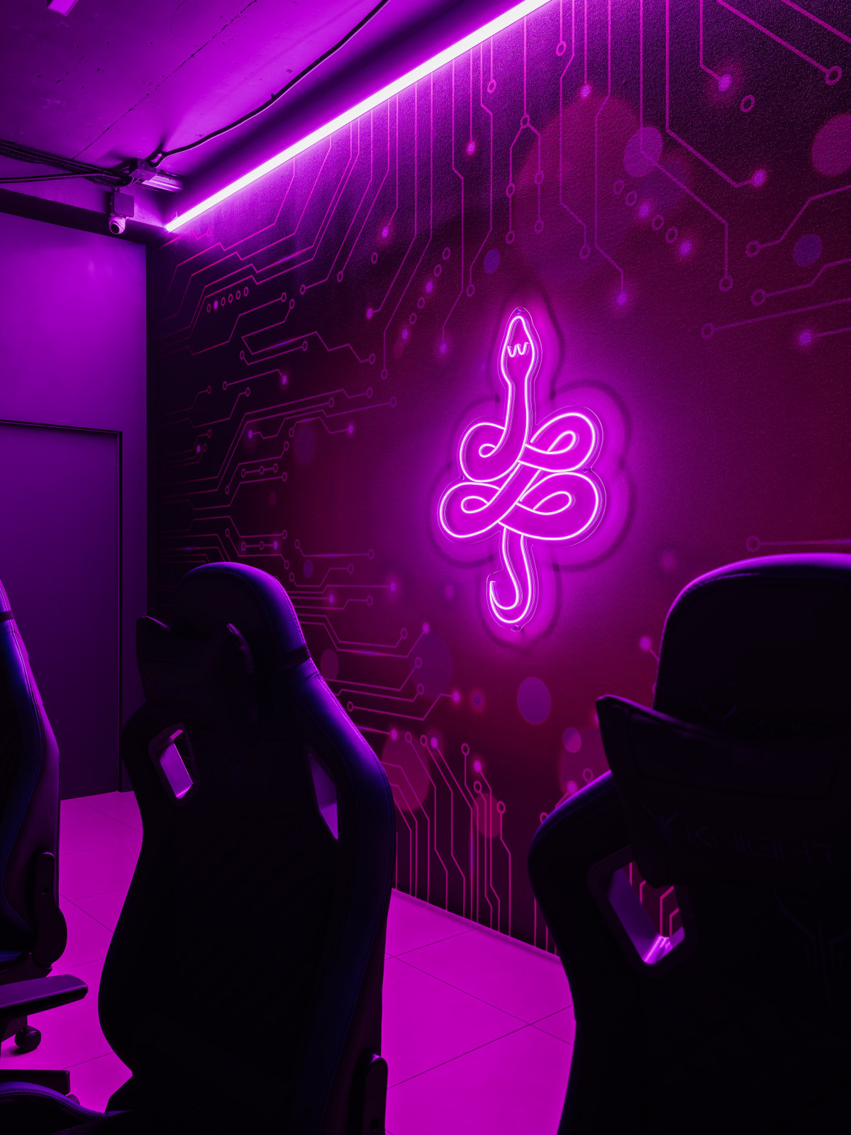 Киберспортивный клуб "Кобра"