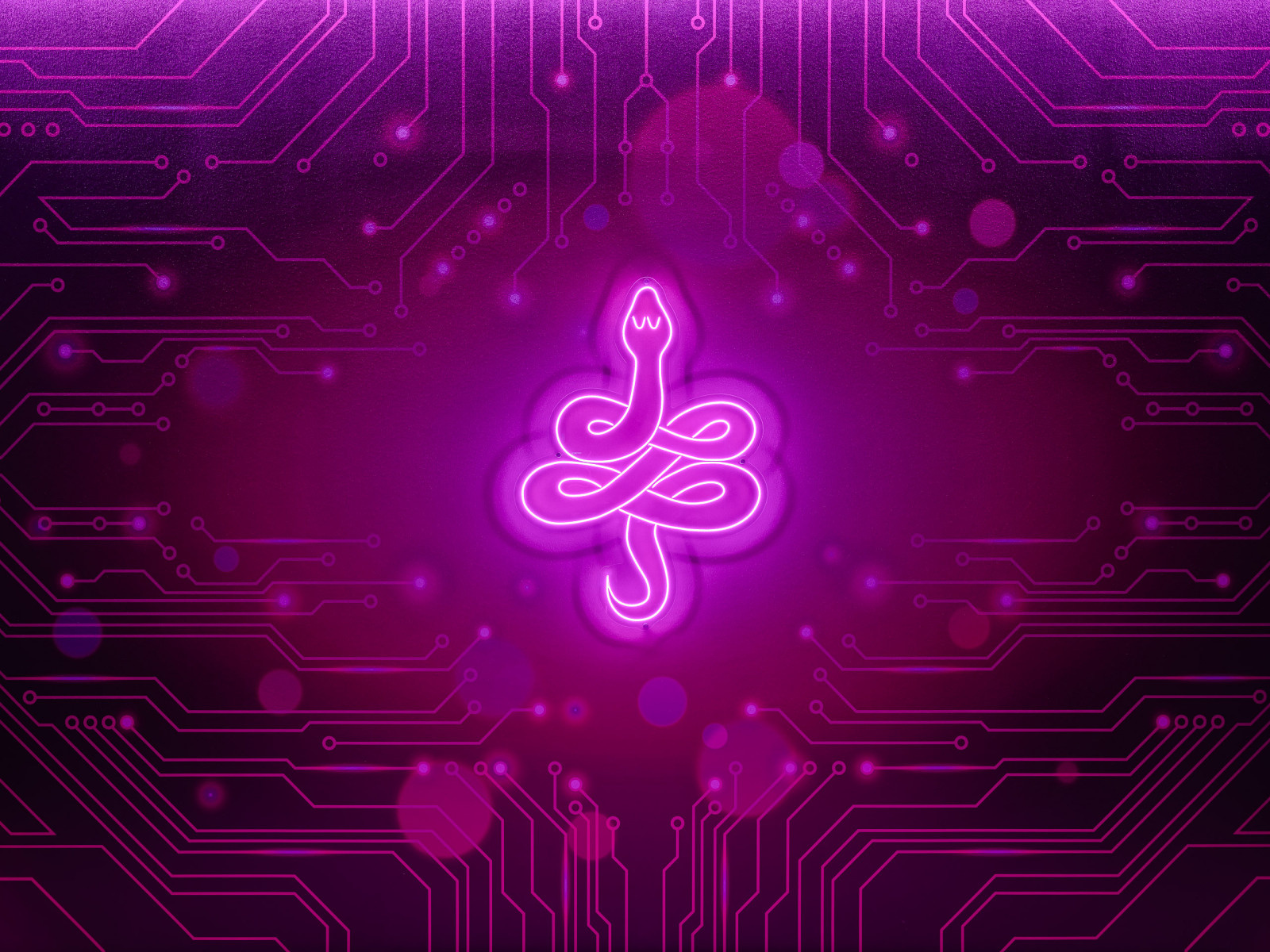 Киберспортивный клуб "Кобра"