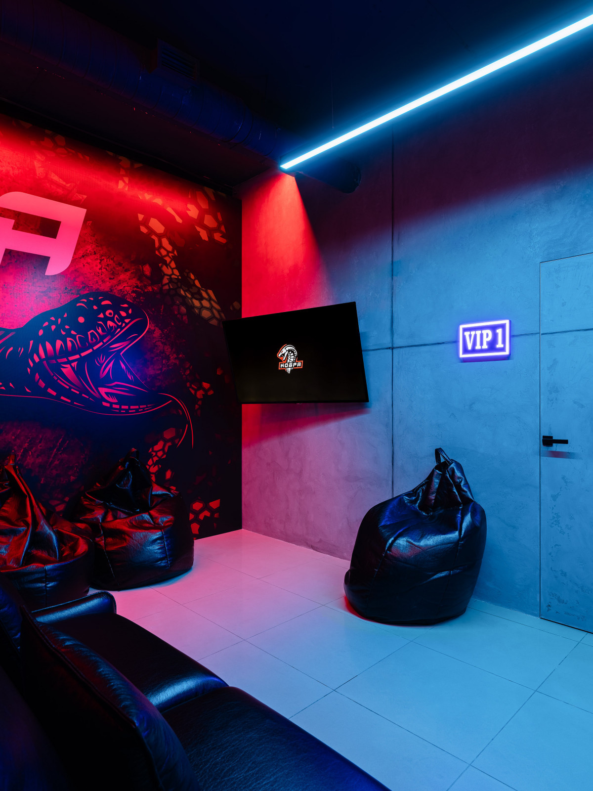 Киберспортивный клуб "Кобра"