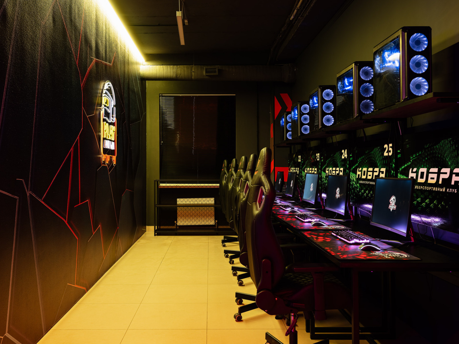 Киберспортивный клуб "Кобра"