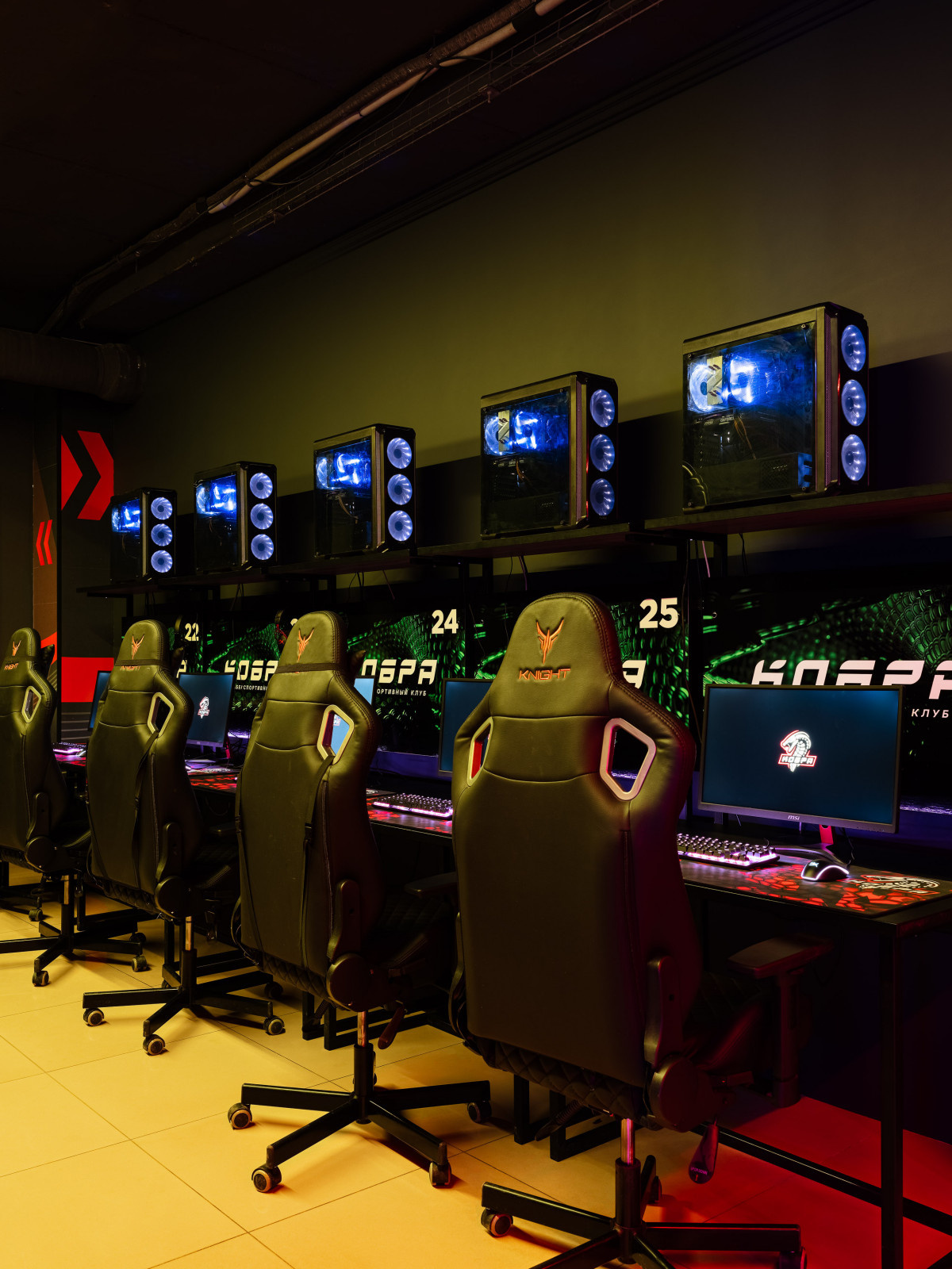 Киберспортивный клуб "Кобра"