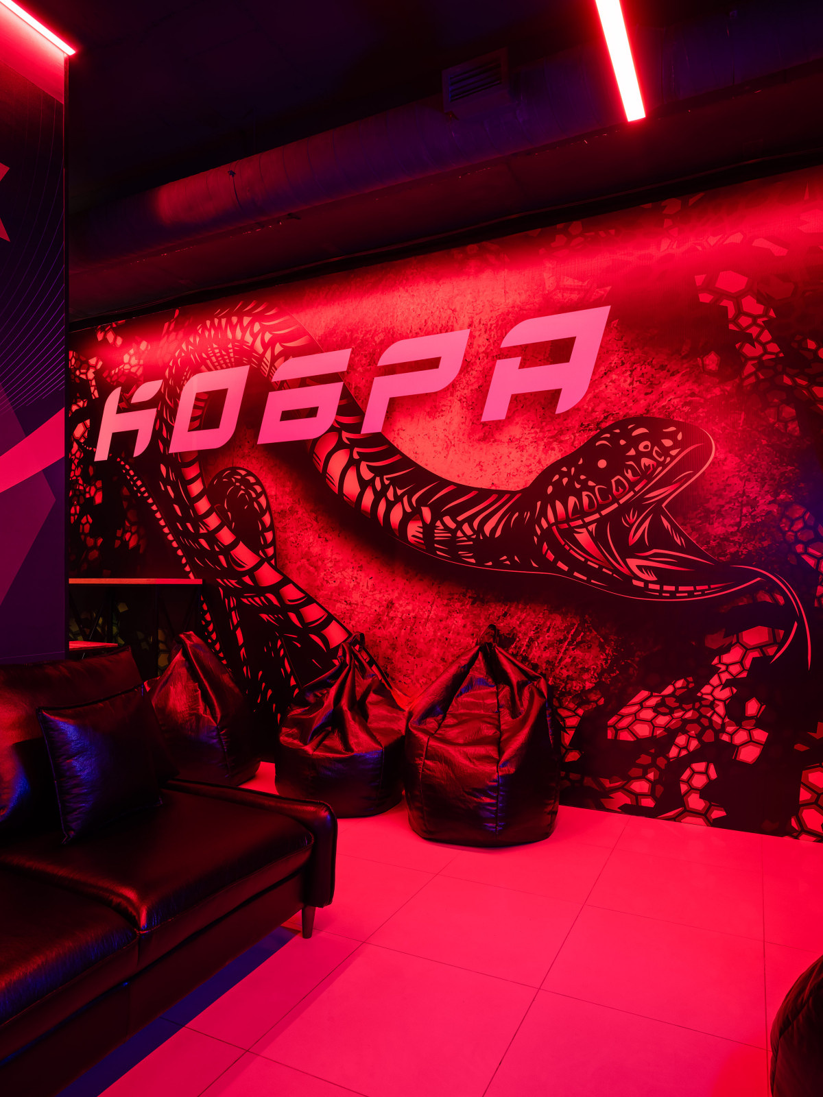 Киберспортивный клуб "Кобра"