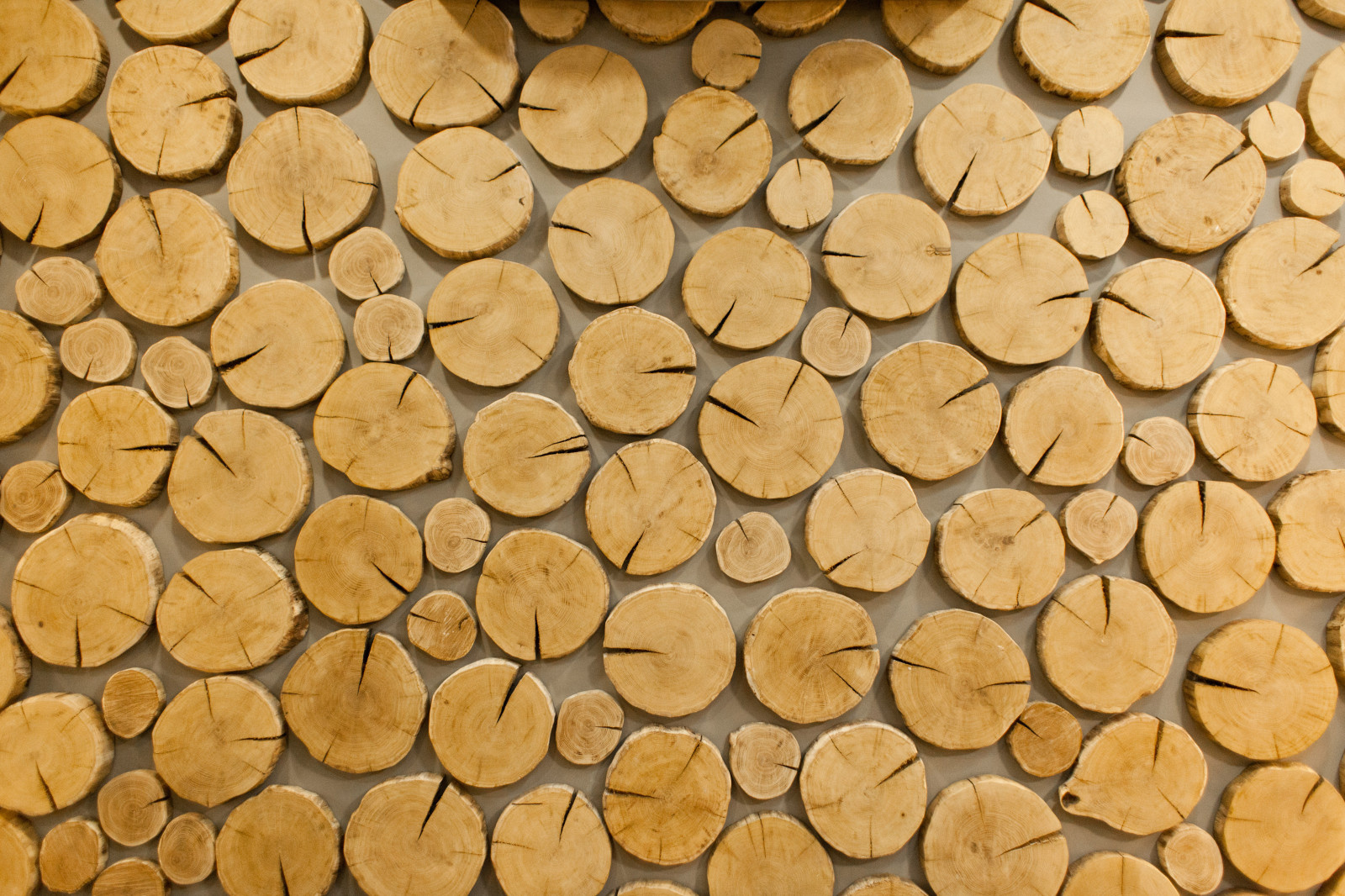 Кафе Коптильня на м-р Университетский