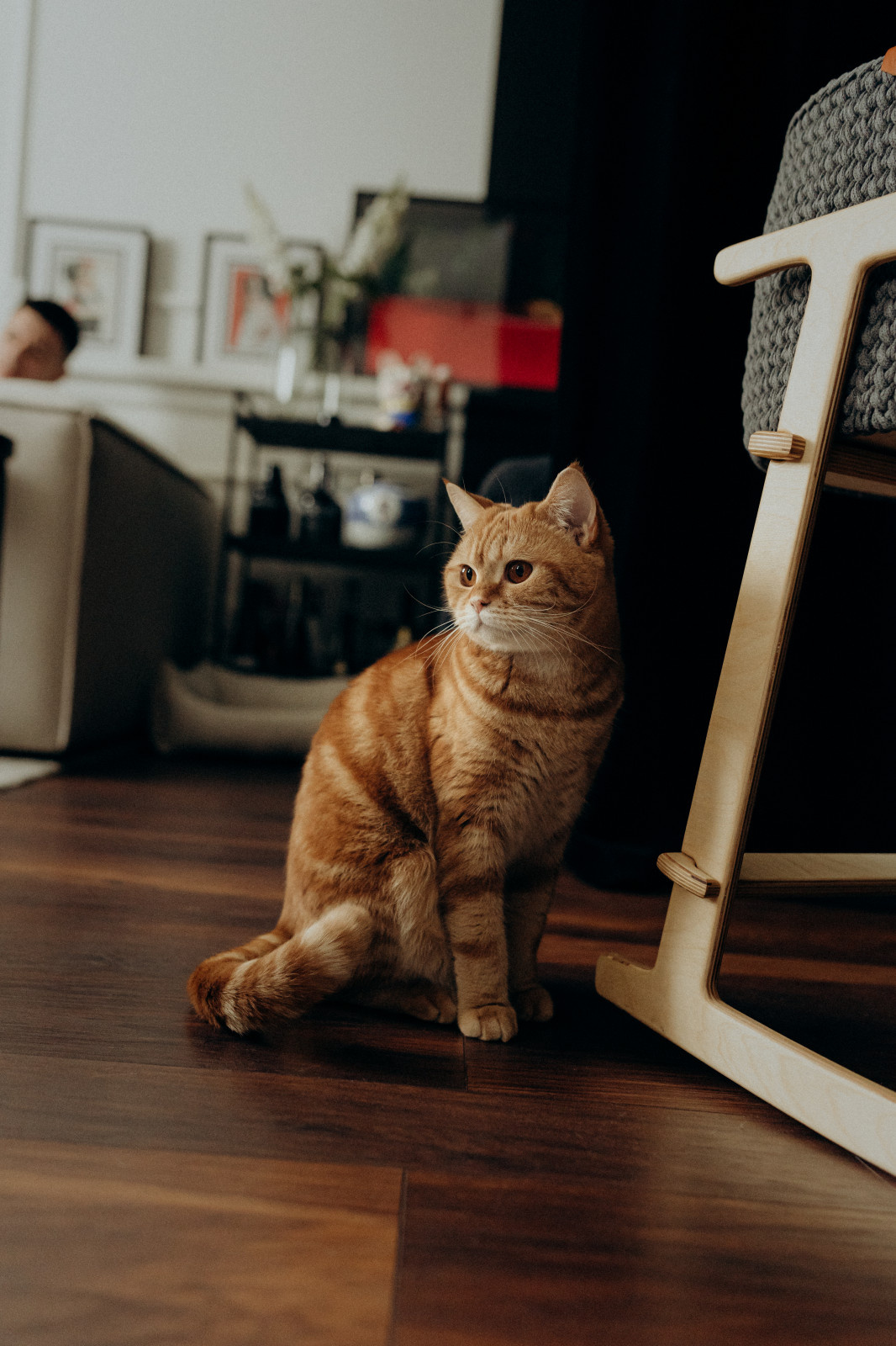 квартира в стиле неоклассика