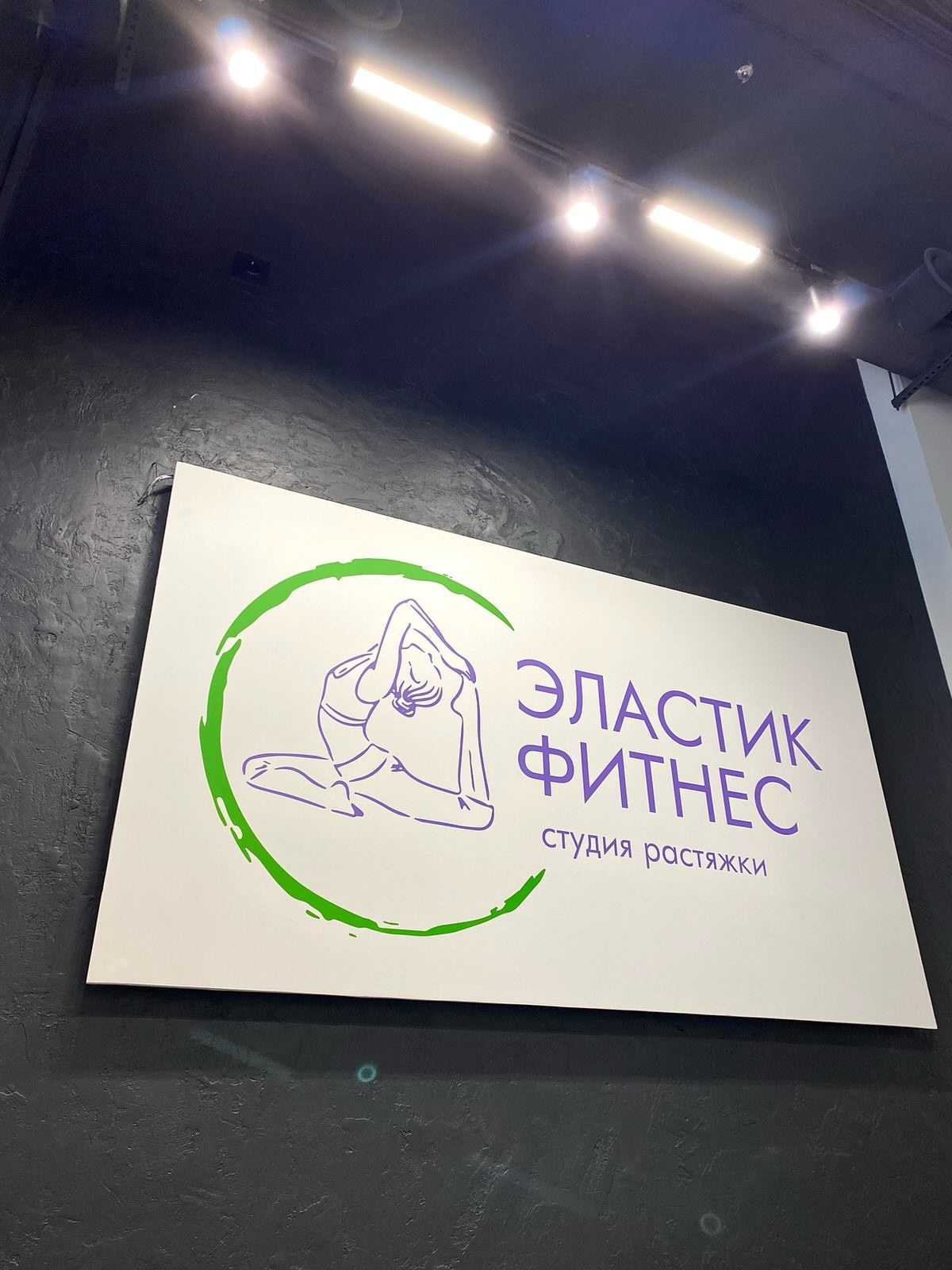 Студия растяжки на Петра Ломако 14, площадь 118м2