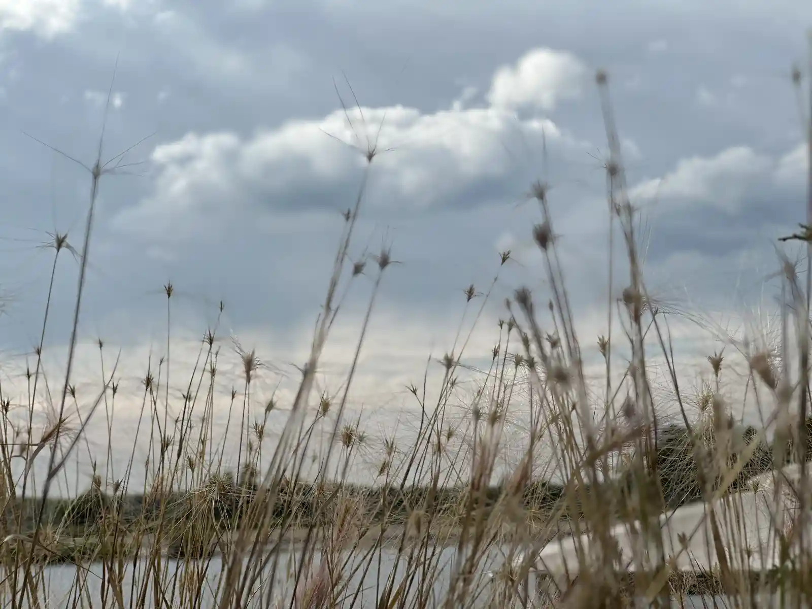 «НА ЗАПОВЕДНЫХ БЕРЕГАХ»
